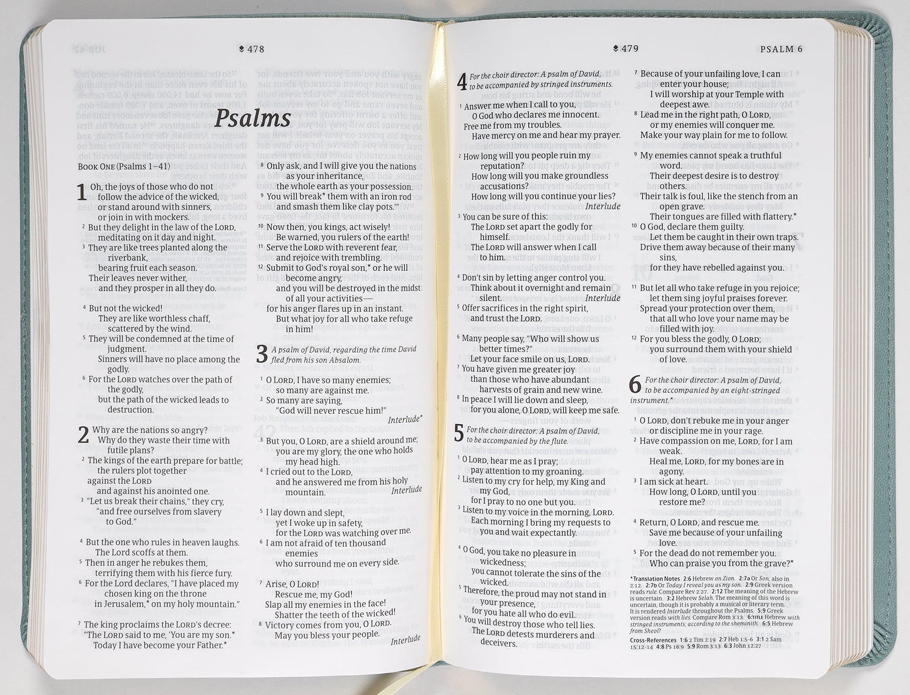 NLT Thinline Reference Bible Filament Enabled Edition Sage Dayspring Signature Collection (Red Letter Edition) (Dayspring Signature Collection)