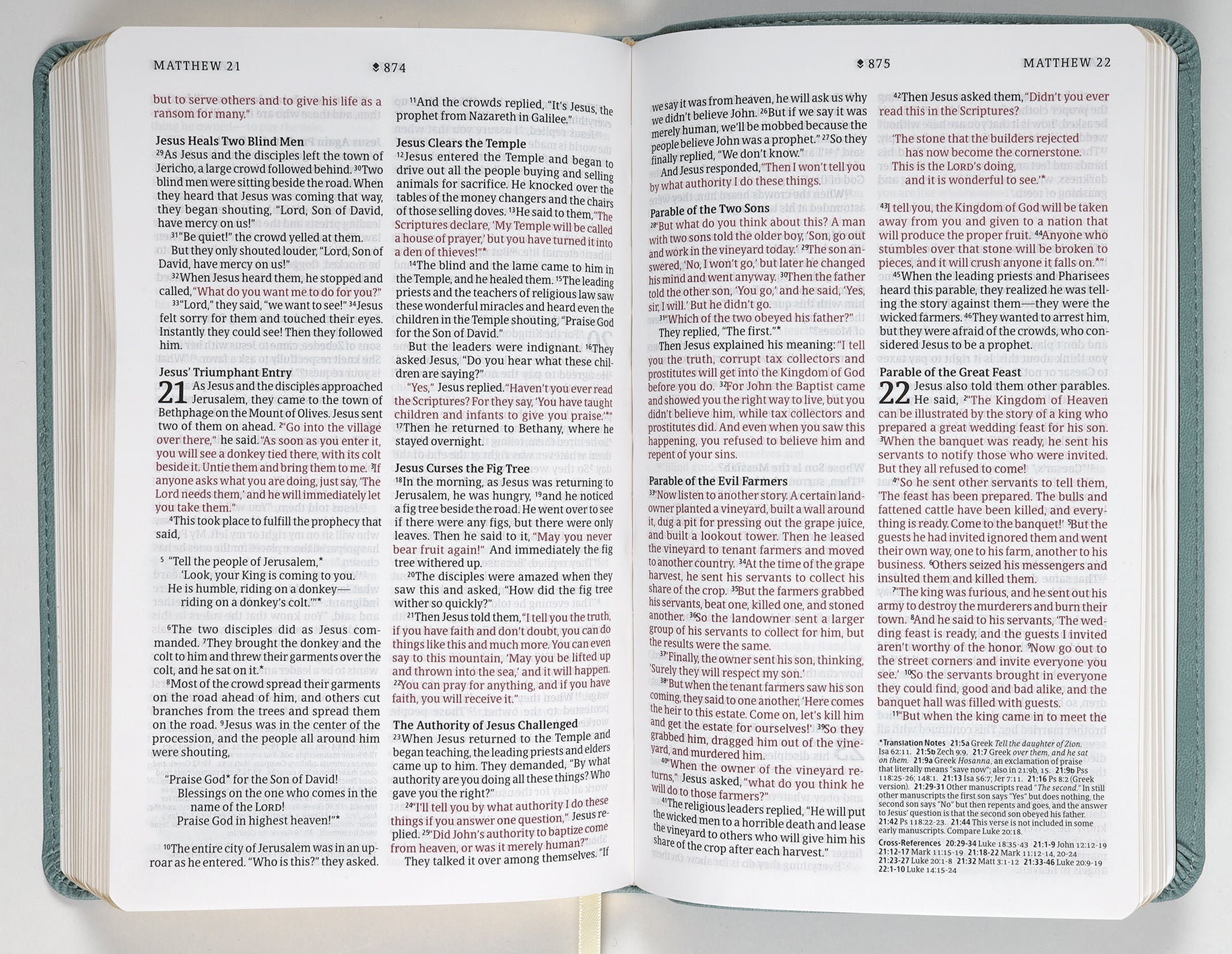 NLT Thinline Reference Bible Filament Enabled Edition Sage Dayspring Signature Collection (Red Letter Edition) (Dayspring Signature Collection)