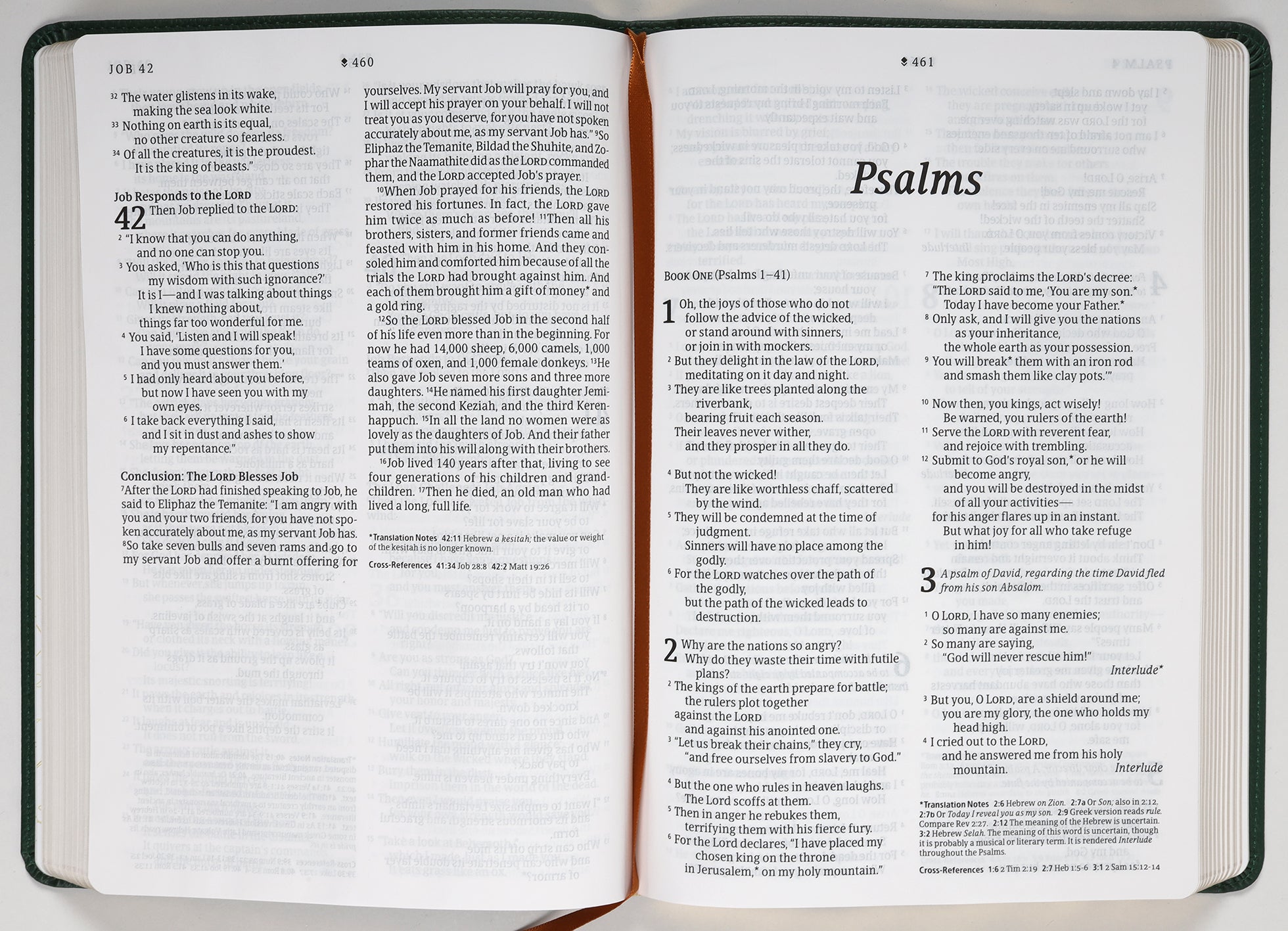NLT Large Print Thinline Reference Bible Filament Enabled Edition Evergreen Dayspring Signature Collection (Red Letter Edition) (Dayspring Signature Collection)