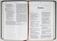 NLT Large Print Thinline Reference Bible Filament Enabled Edition Evergreen Dayspring Signature Collection (Red Letter Edition) (Dayspring Signature Collection)