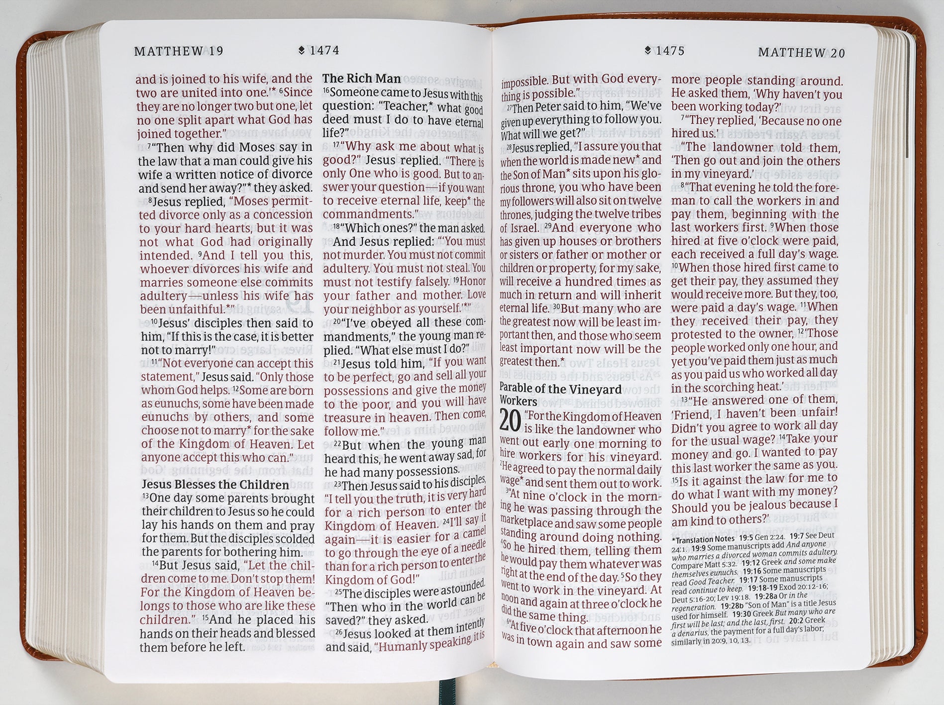 NLT Personal Size Giant Print Bible Filament Enabled Edition Classic Tan Dayspring Signature Collection (Red Letter Edition) (Dayspring Signature Collection)