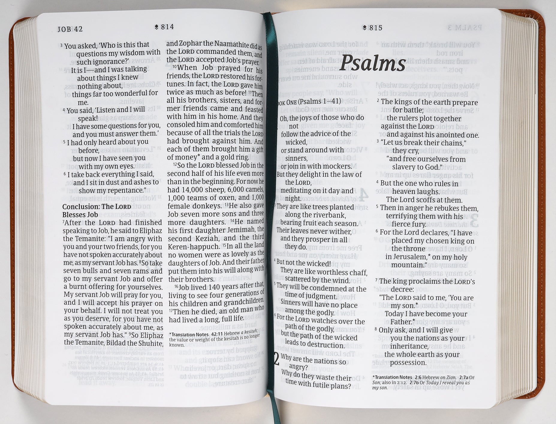 NLT Personal Size Giant Print Bible Filament Enabled Edition Classic Tan Dayspring Signature Collection (Red Letter Edition) (Dayspring Signature Collection)