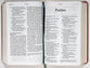 NLT Personal Size Giant Print Bible Filament Enabled Edition Classic Tan Dayspring Signature Collection (Red Letter Edition) (Dayspring Signature Collection)