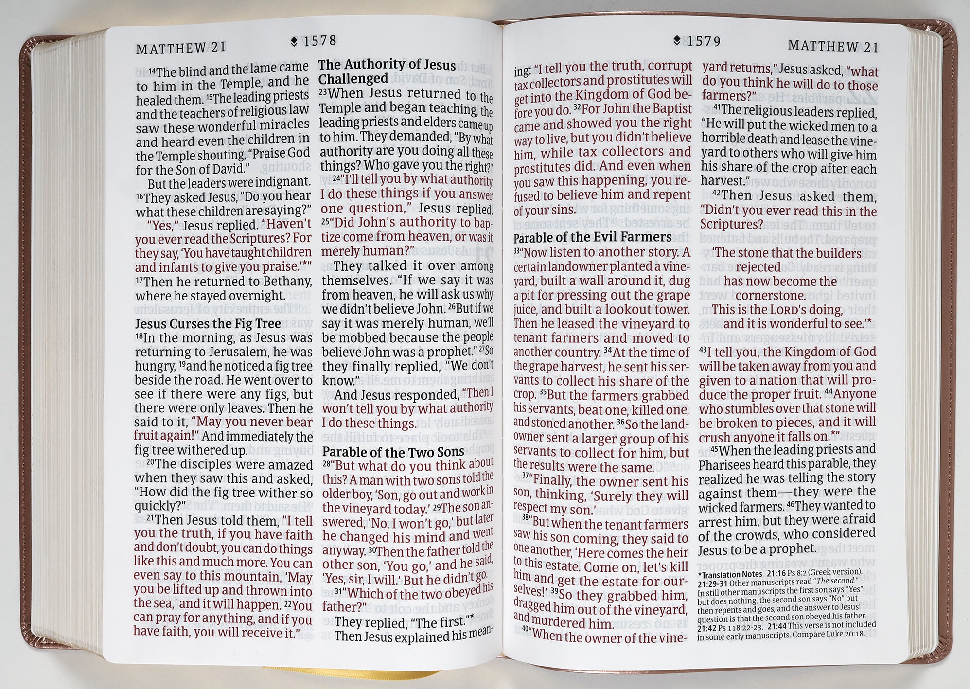 NLT Super Giant Print Bible Filament Enabled Edition Blush Floral Dayspring Signature Collection (Red Letter Edition) (Dayspring Signature Collection)
