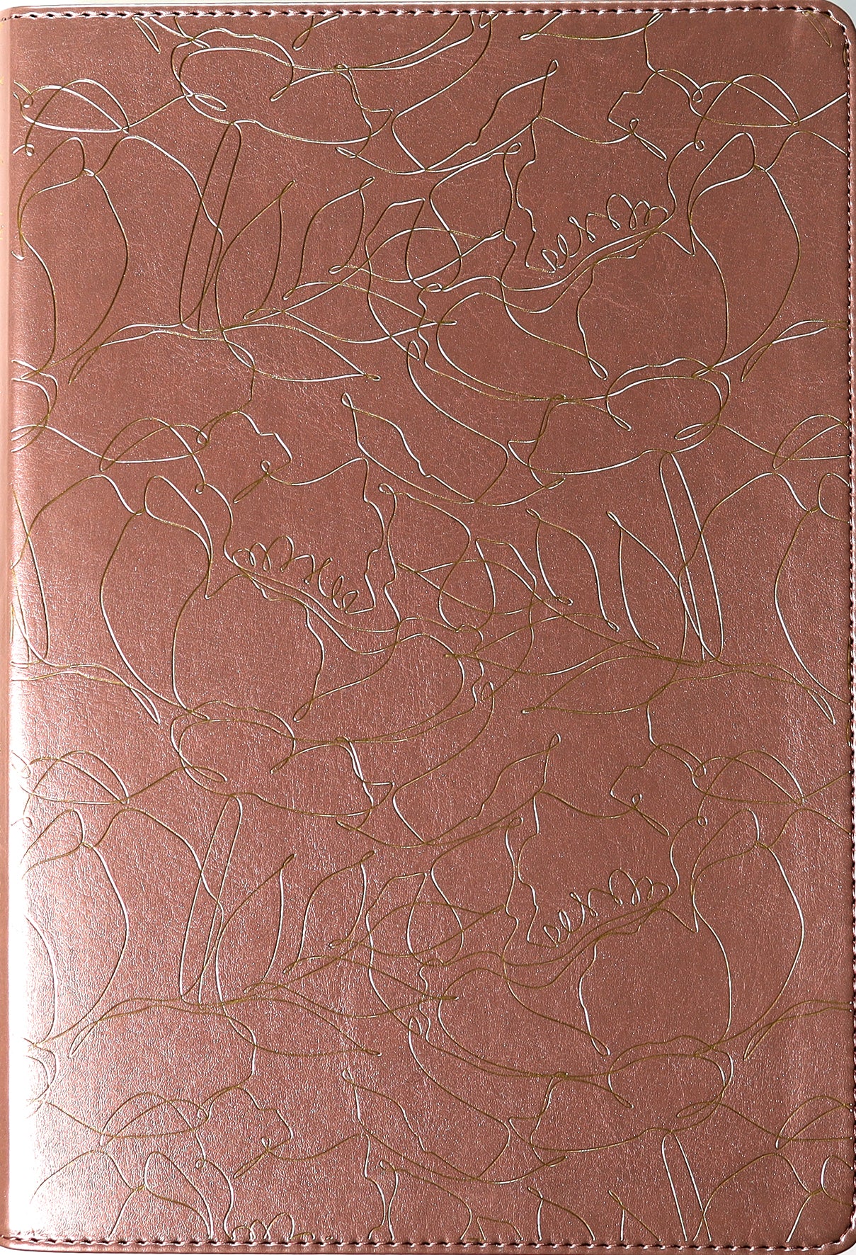 NLT Super Giant Print Bible Filament Enabled Edition Blush Floral Dayspring Signature Collection (Red Letter Edition) (Dayspring Signature Collection)
