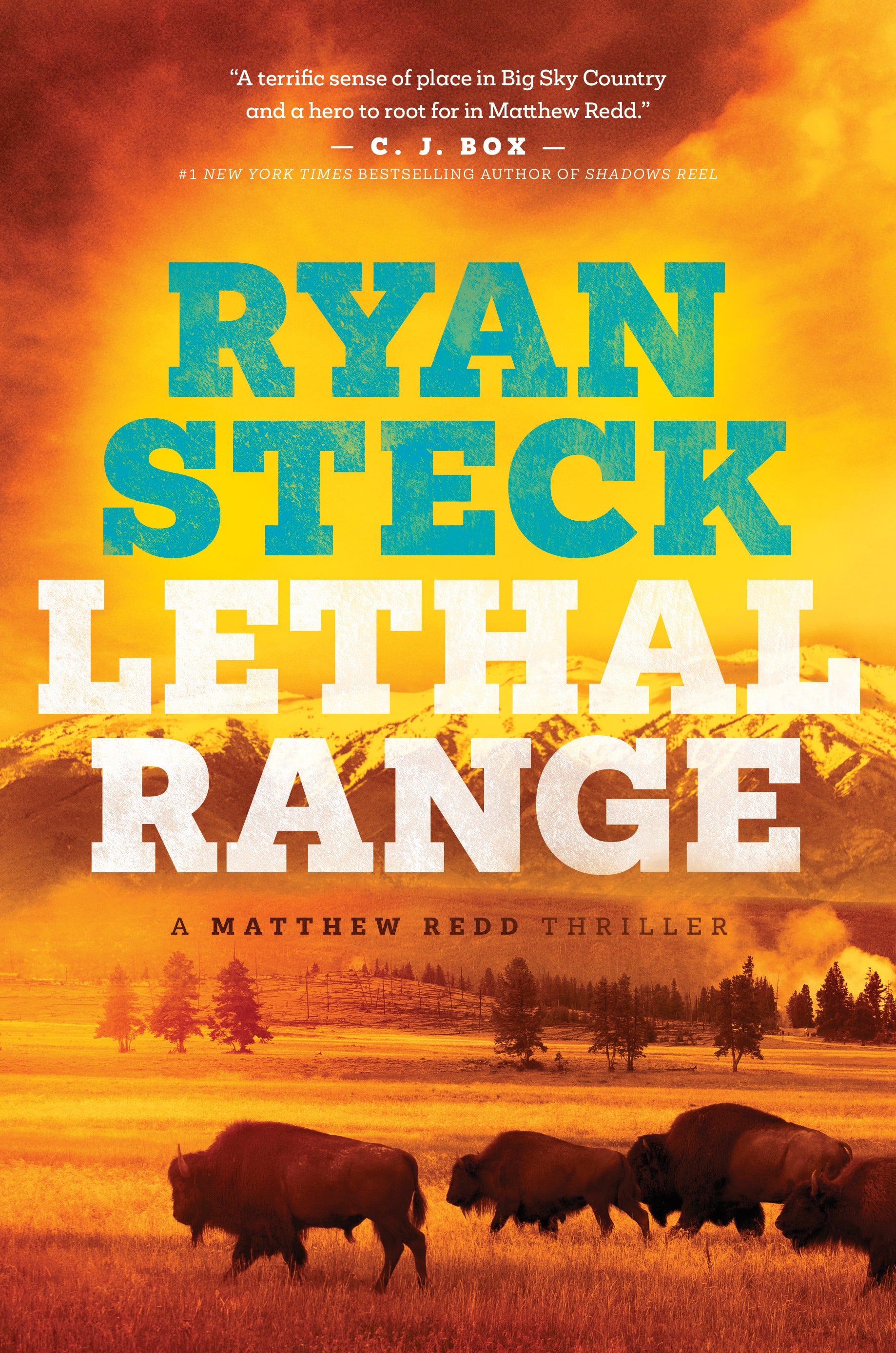 Lethal Range (Matthew Redd Thriller Series)