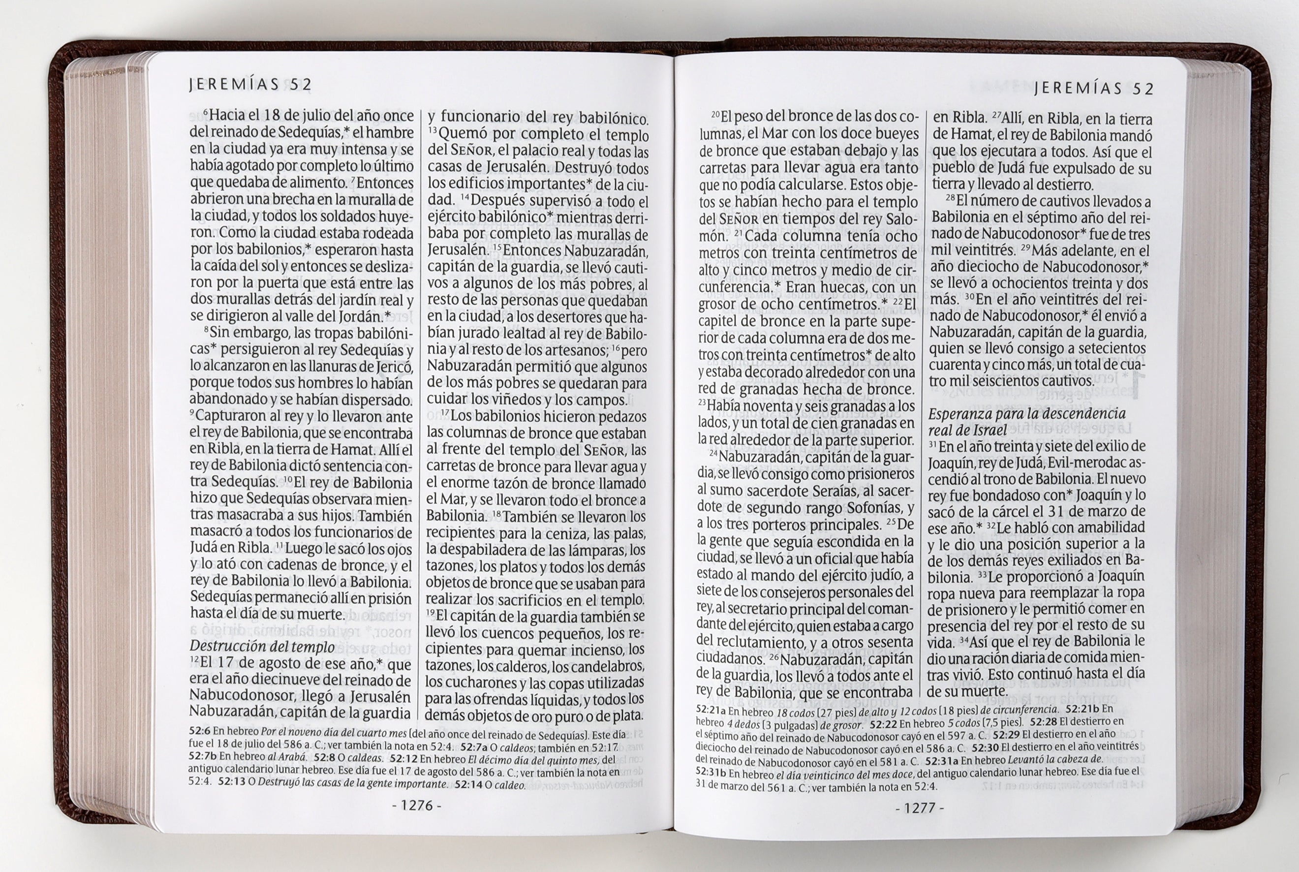 Ntv Santa Biblia Edicion Manual Letra Gigante Cafe (Red Letter Edition)