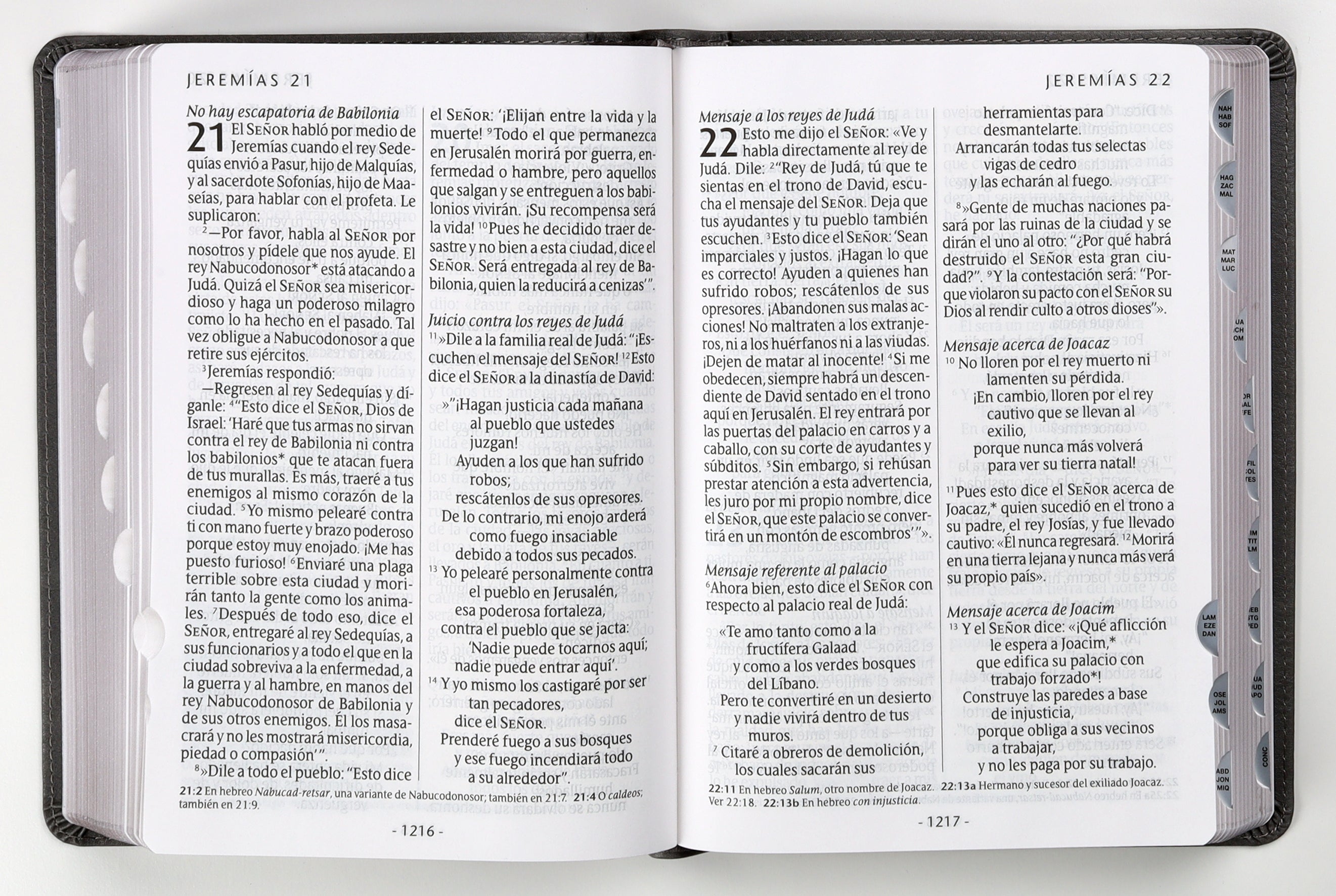 Ntv Santa Biblia Edicion Manual Letra Gigante Gris Indice (Red Letter Edition)