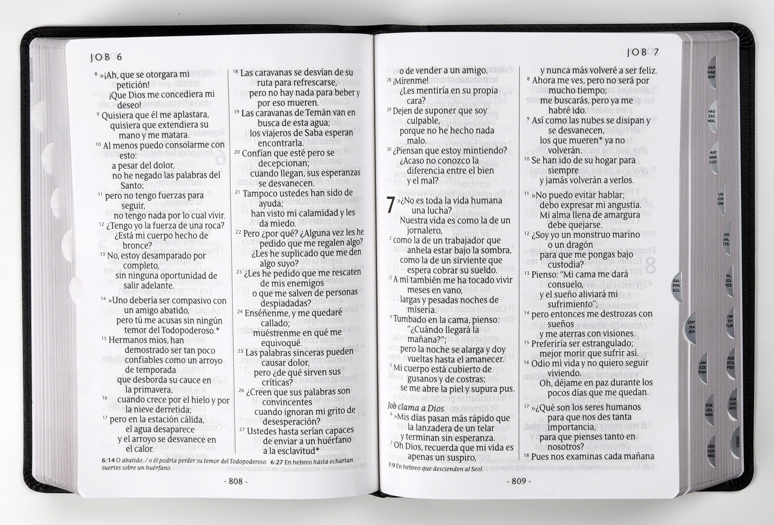 Ntv Santa Biblia Edicion Manual Letra Gigante Negro Indice (Red Letter Edition)
