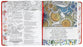 NLT Inspire Faith Bible Filament Enabled Edition Coral Blooms