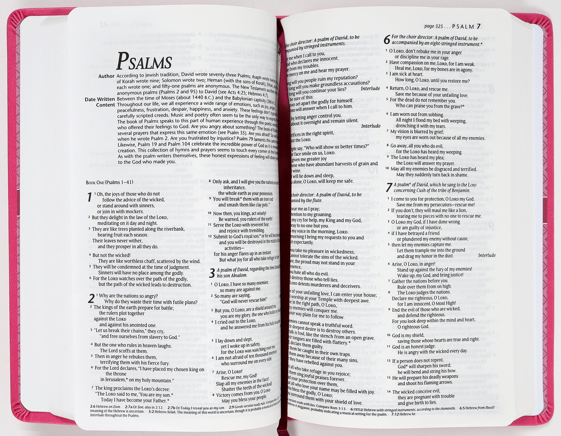 NLT Premium Gift Bible Very Berry Pink Vines (Red Letter Edition)