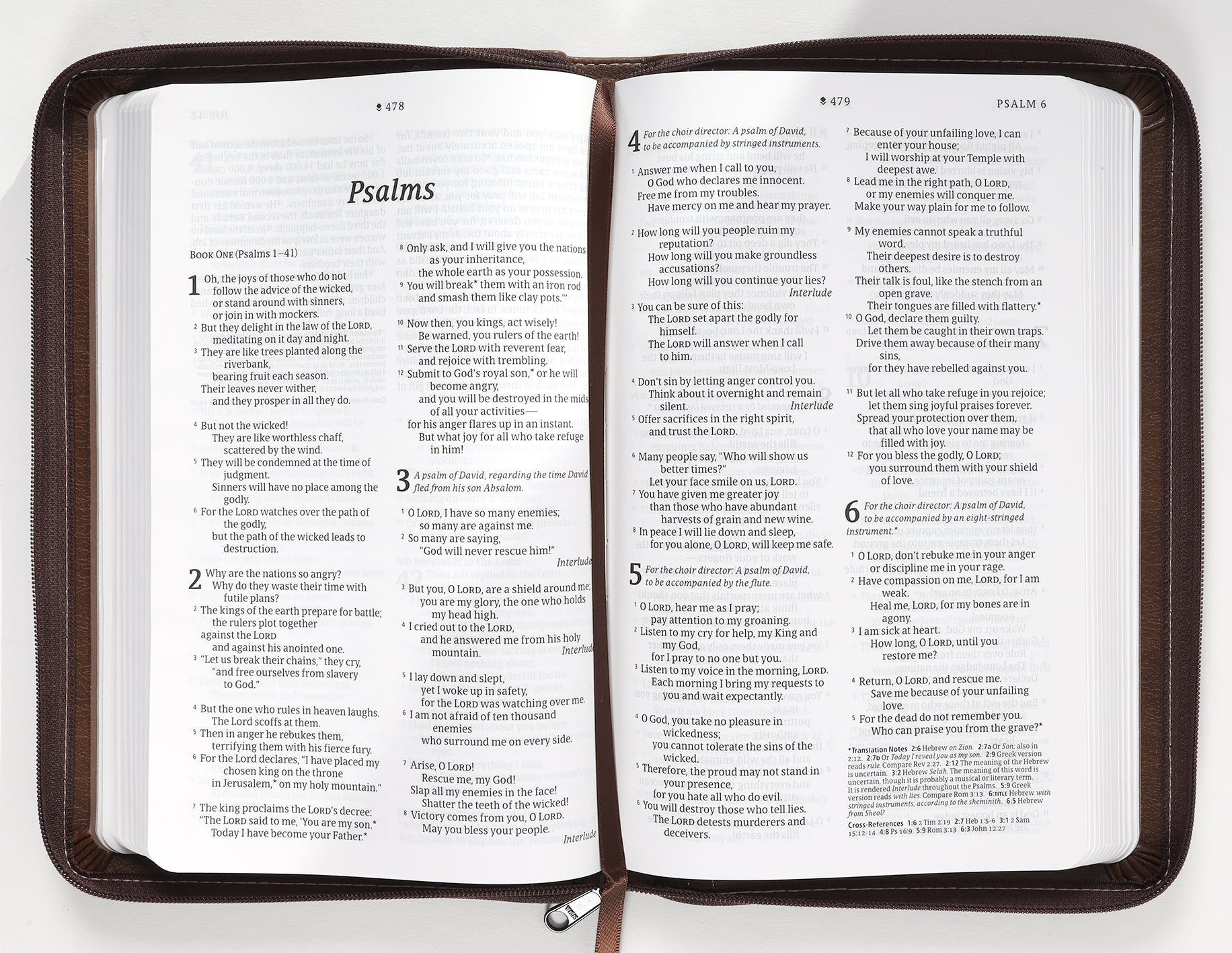 NLT Thinline Reference Zipper Bible Filament Enabled Edition Atlas Rustic Brown (Red Letter Edition)