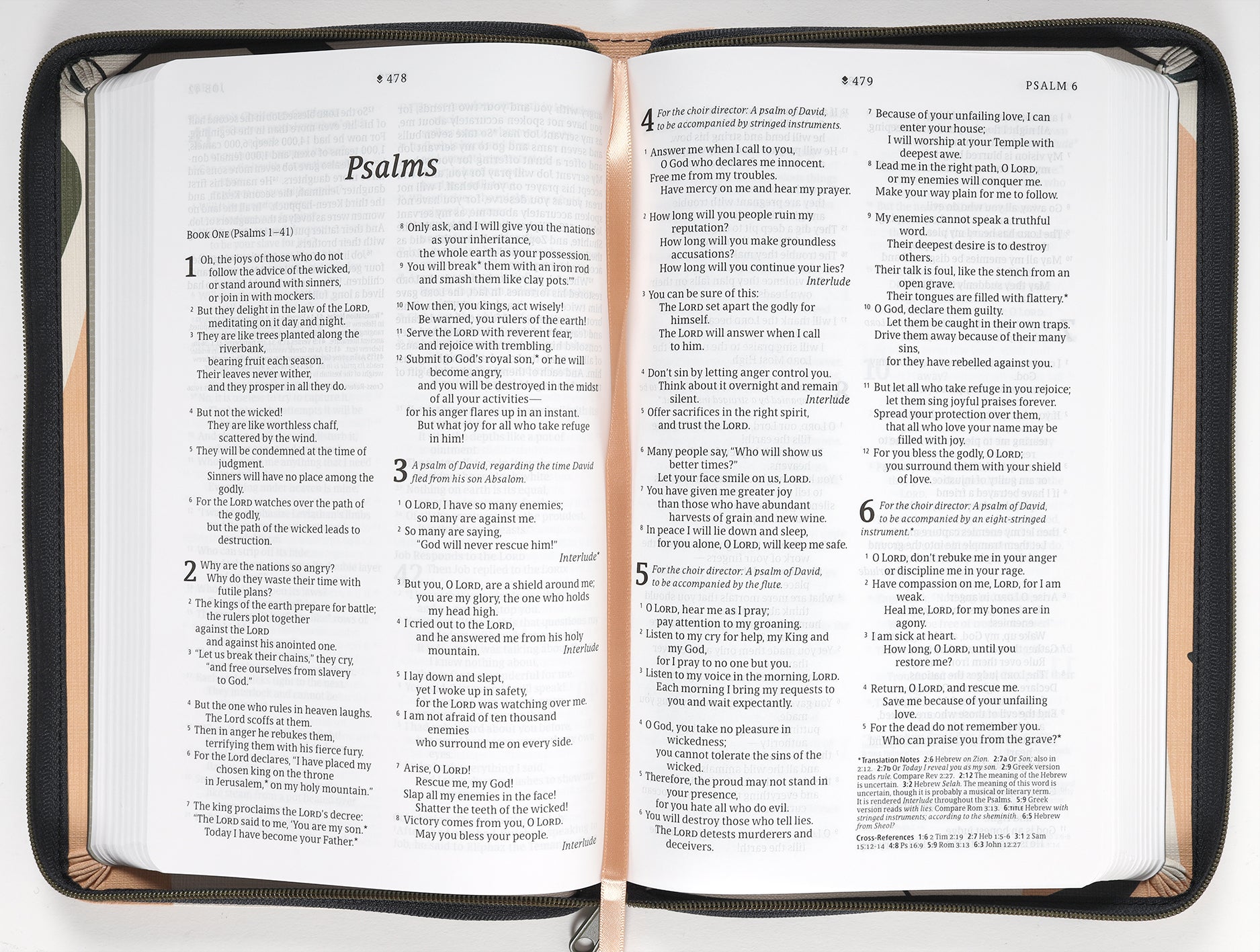 NLT Thinline Reference Zipper Bible Filament Enabled Edition Sunset Branches (Red Letter Edition)