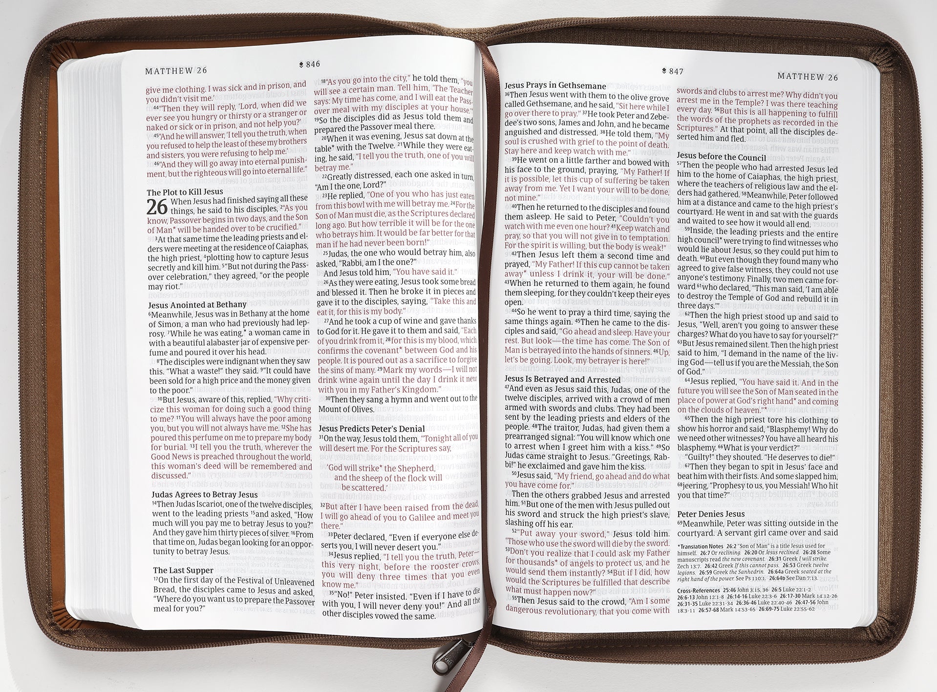 NLT Large Print Thinline Reference Zipper Bible Filament Enabled Edition Messenger Stone/Camel (Red Letter Edition)