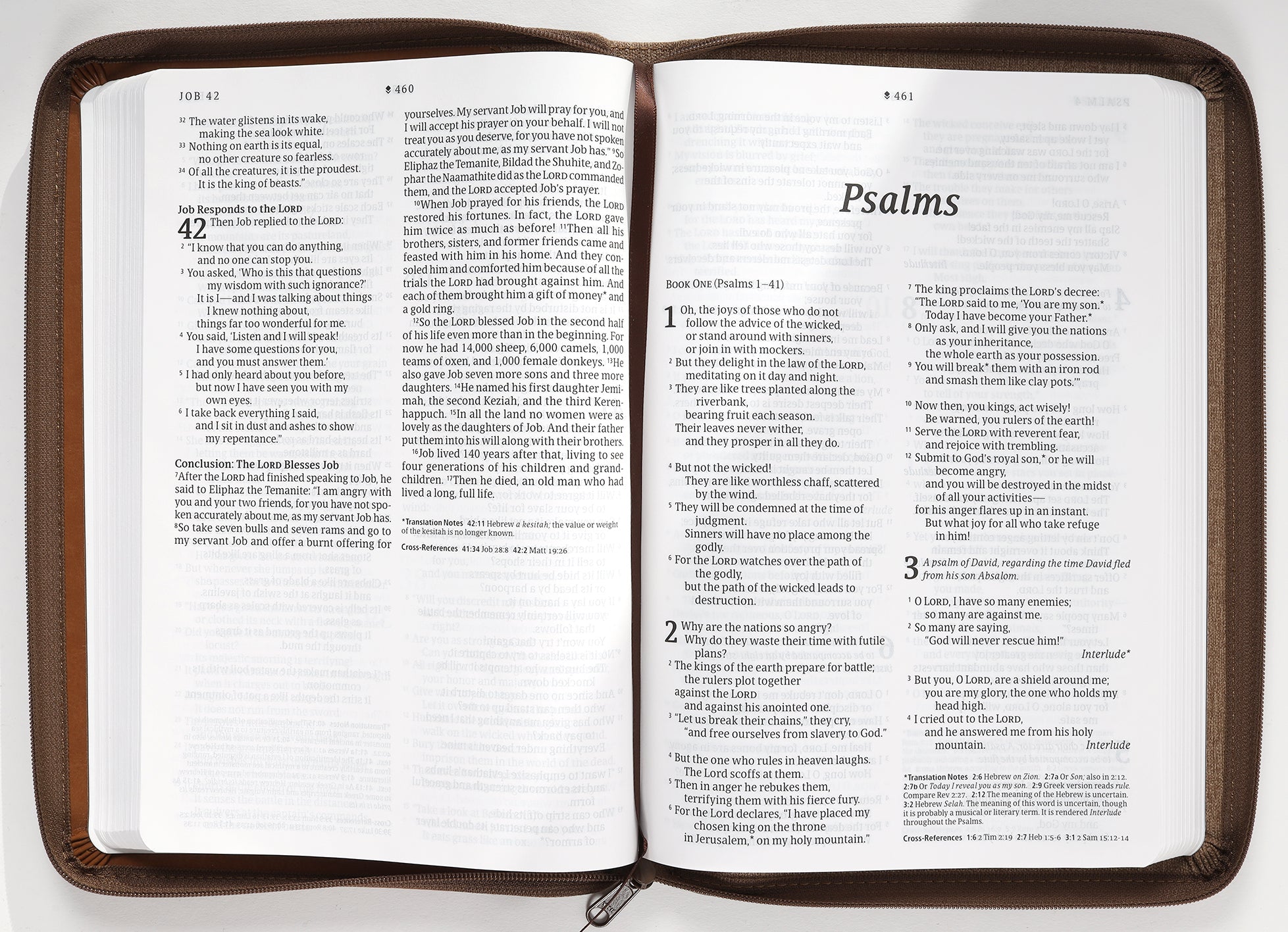 NLT Large Print Thinline Reference Zipper Bible Filament Enabled Edition Messenger Stone/Camel (Red Letter Edition)