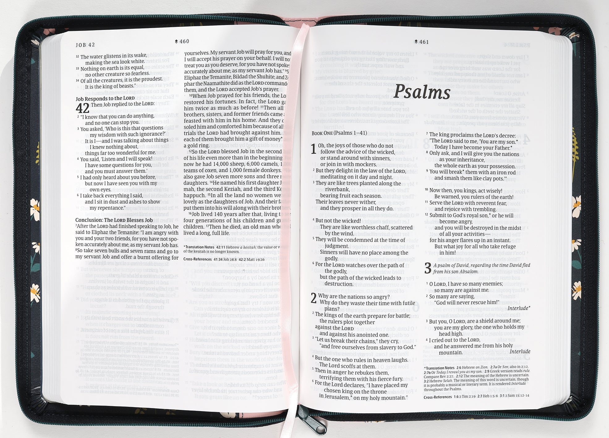 NLT Large Print Thinline Reference Zipper Bible Filament Enabled Edition Meadow Navy/Pink (Red Letter Edition)