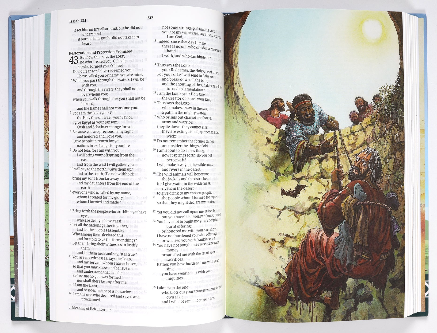 Nrsvue Children's Bible (Black Letter Edition) (Ages 7-12)