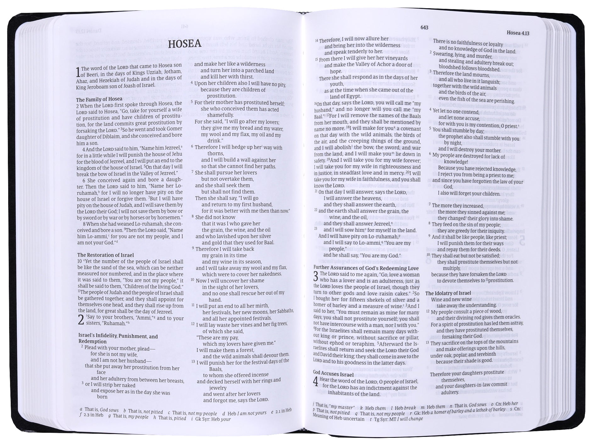 Nrsvue Gift & Award Bible With Apocrypha Black