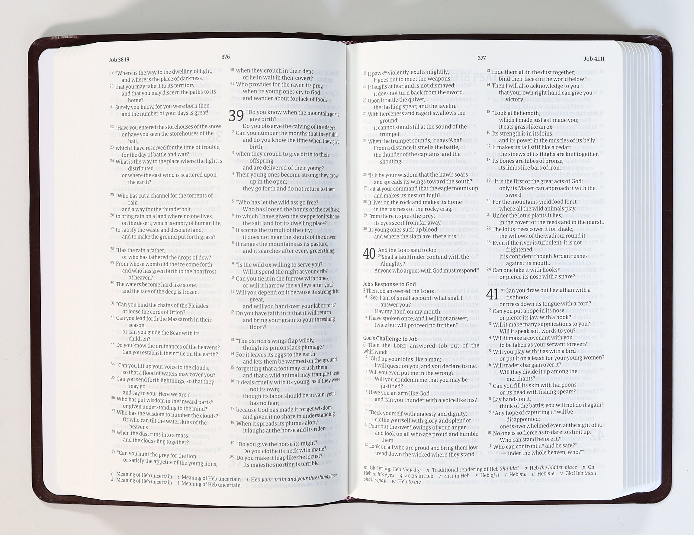 Nrsvue Gift & Award Bible Burgundy