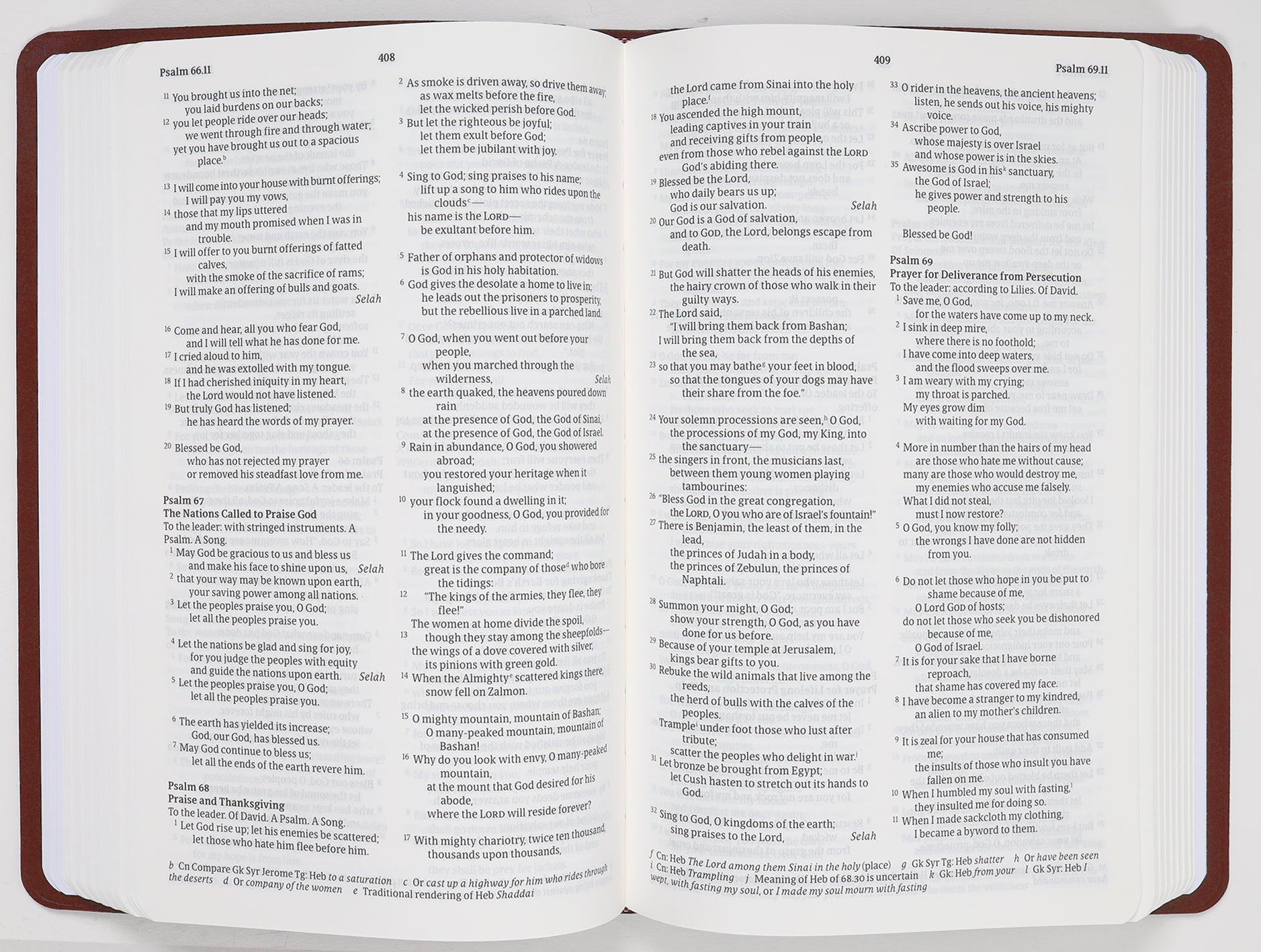 Nrsvue Gift & Award Bible Burgundy