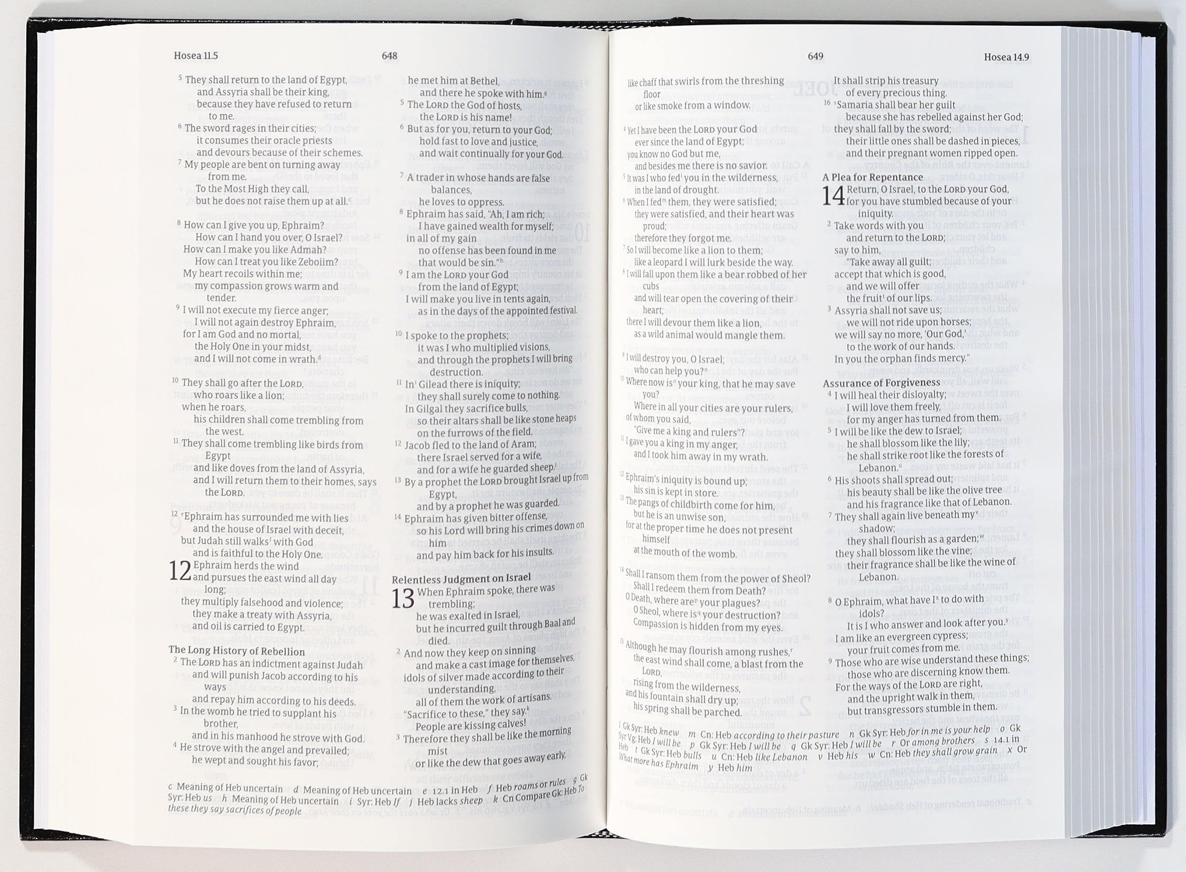 Nrsvue Pew Bible With Apocrypha Black