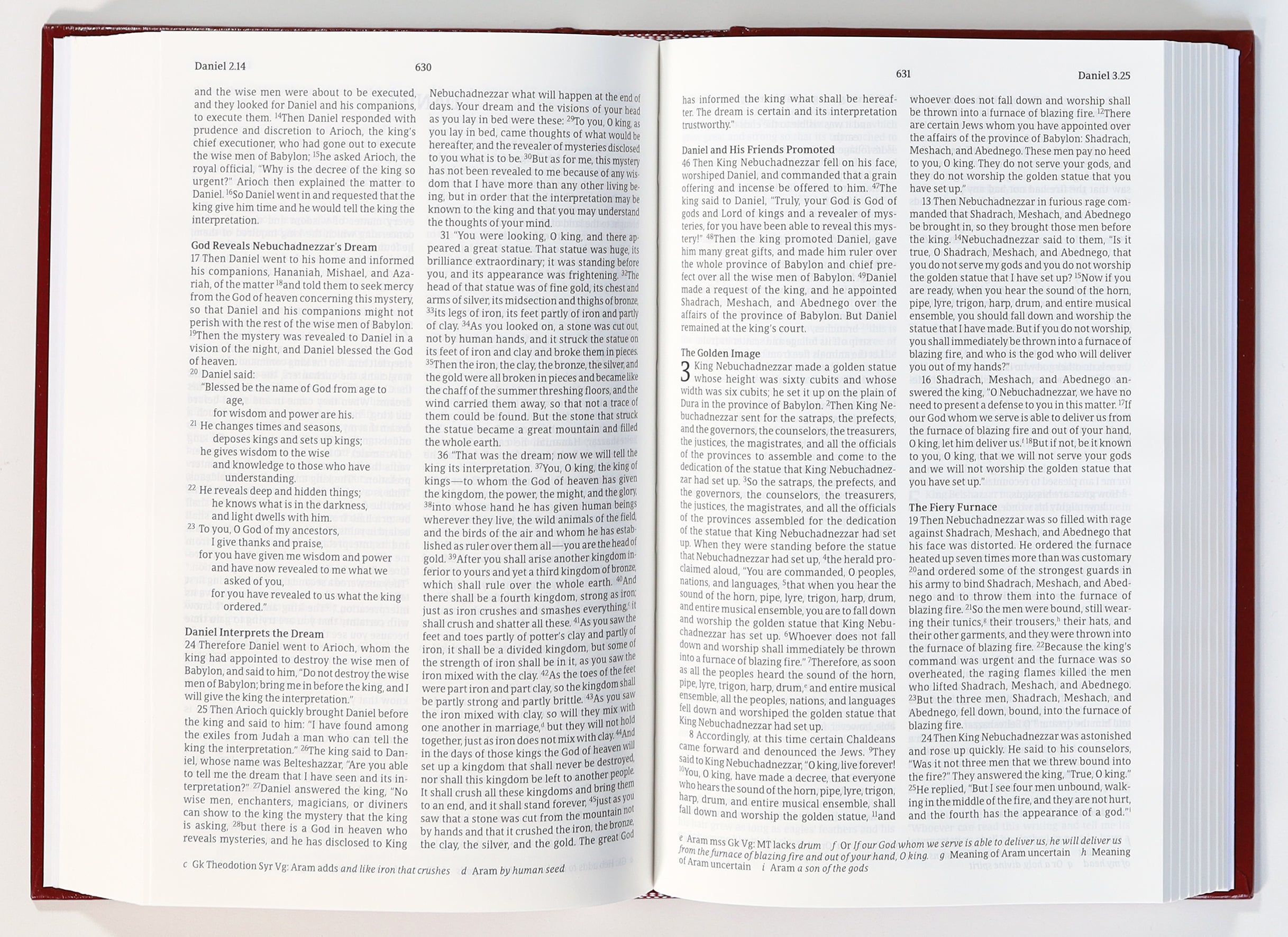 Nrsvue Pew Bible With Apocrypha Burgundy