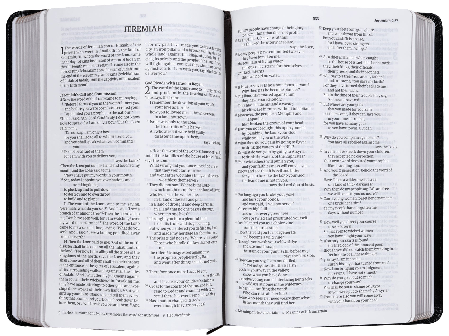 Nrsvue Flexisoft Bible With Apocrypha Black