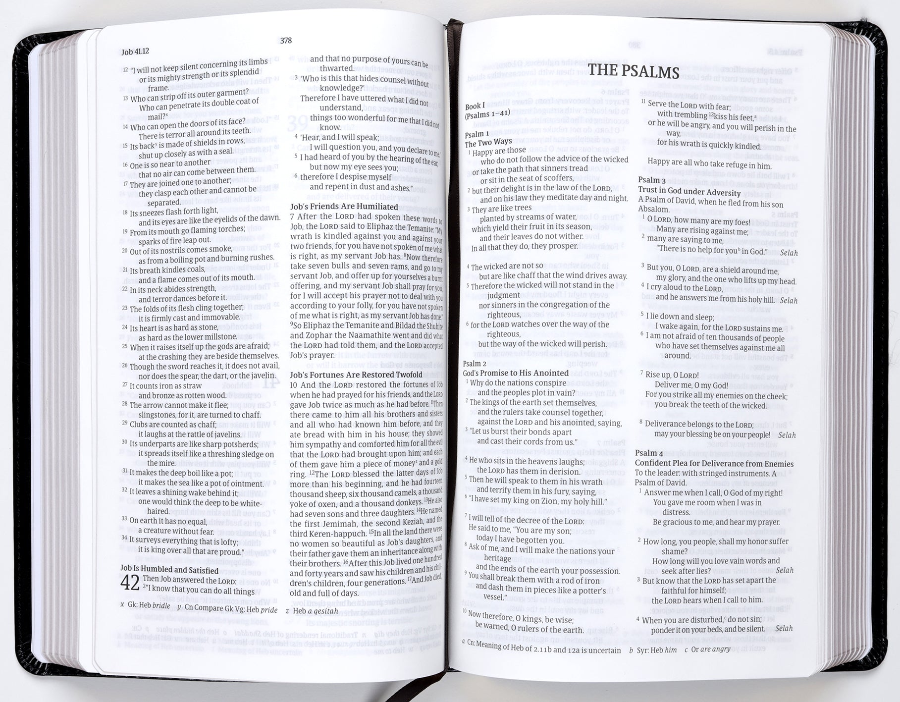 Nrsvue Flexisoft Bible Black