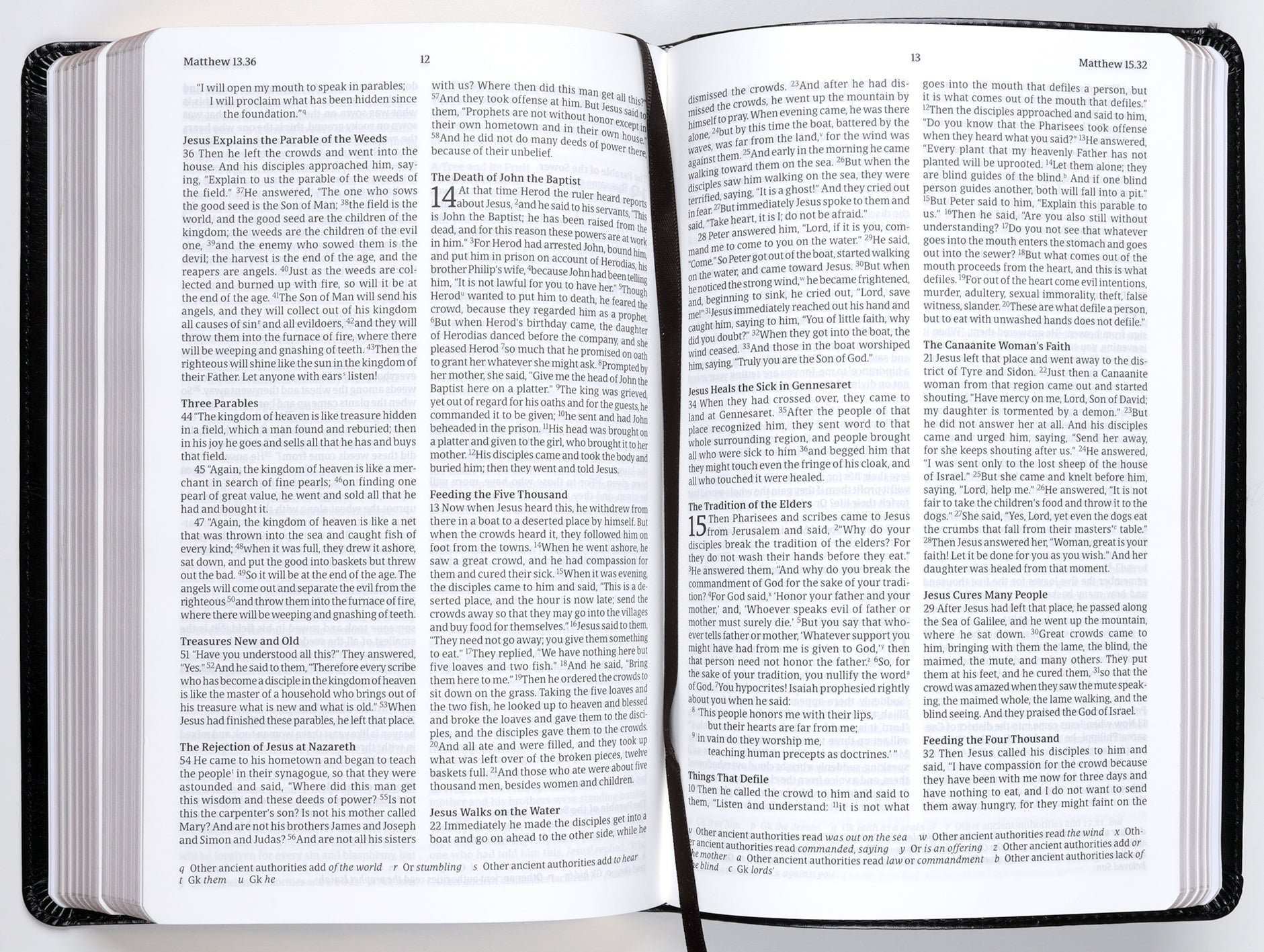 Nrsvue Flexisoft Bible Black