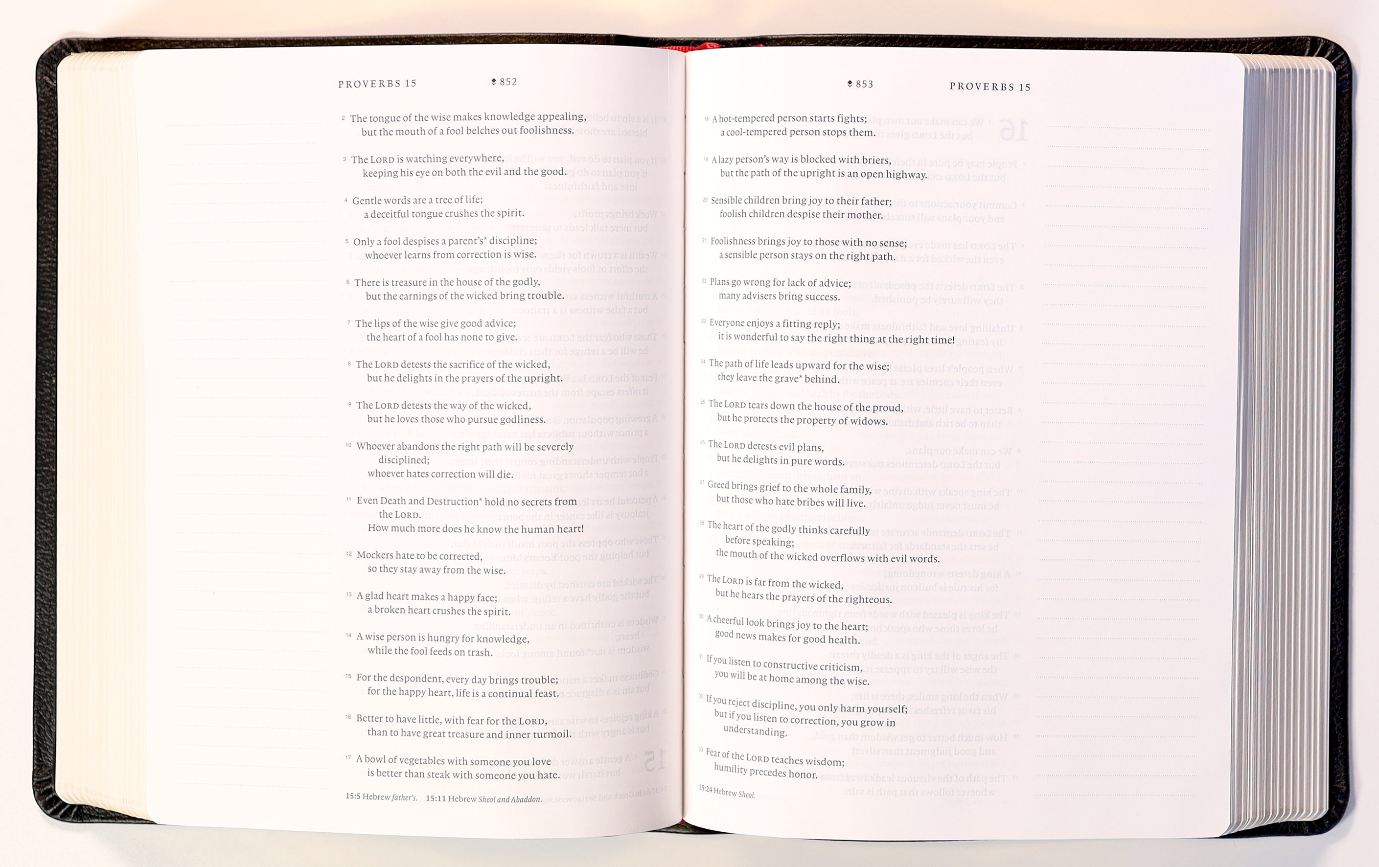 NLT Wide Margin Bible Filament Enabled Edition Black (Red Letter Edition)
