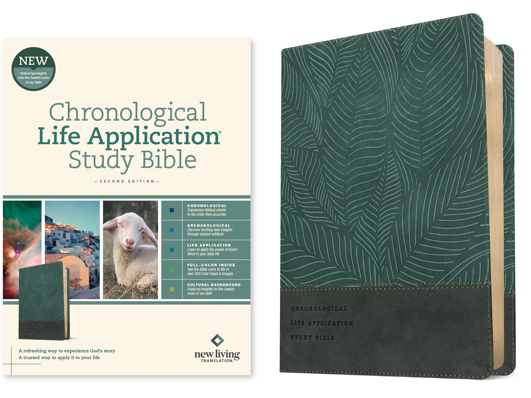 NLT Chronological Life Application Study Bible 2nd Edition Slate Blue Leaf