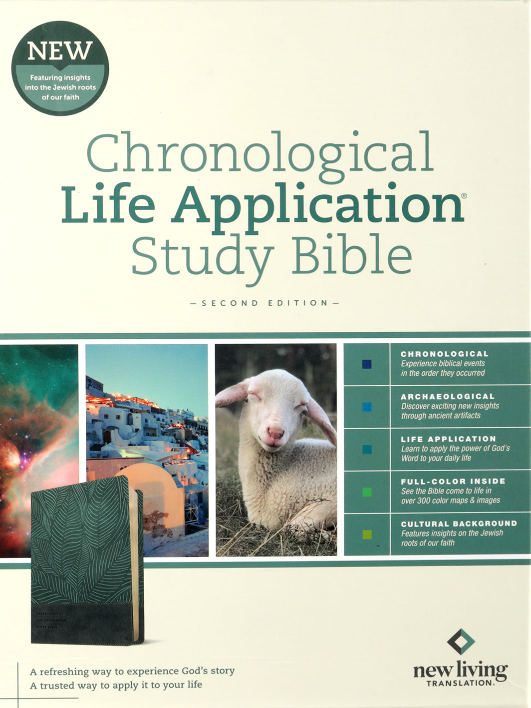 NLT Chronological Life Application Study Bible 2nd Edition Slate Blue Leaf