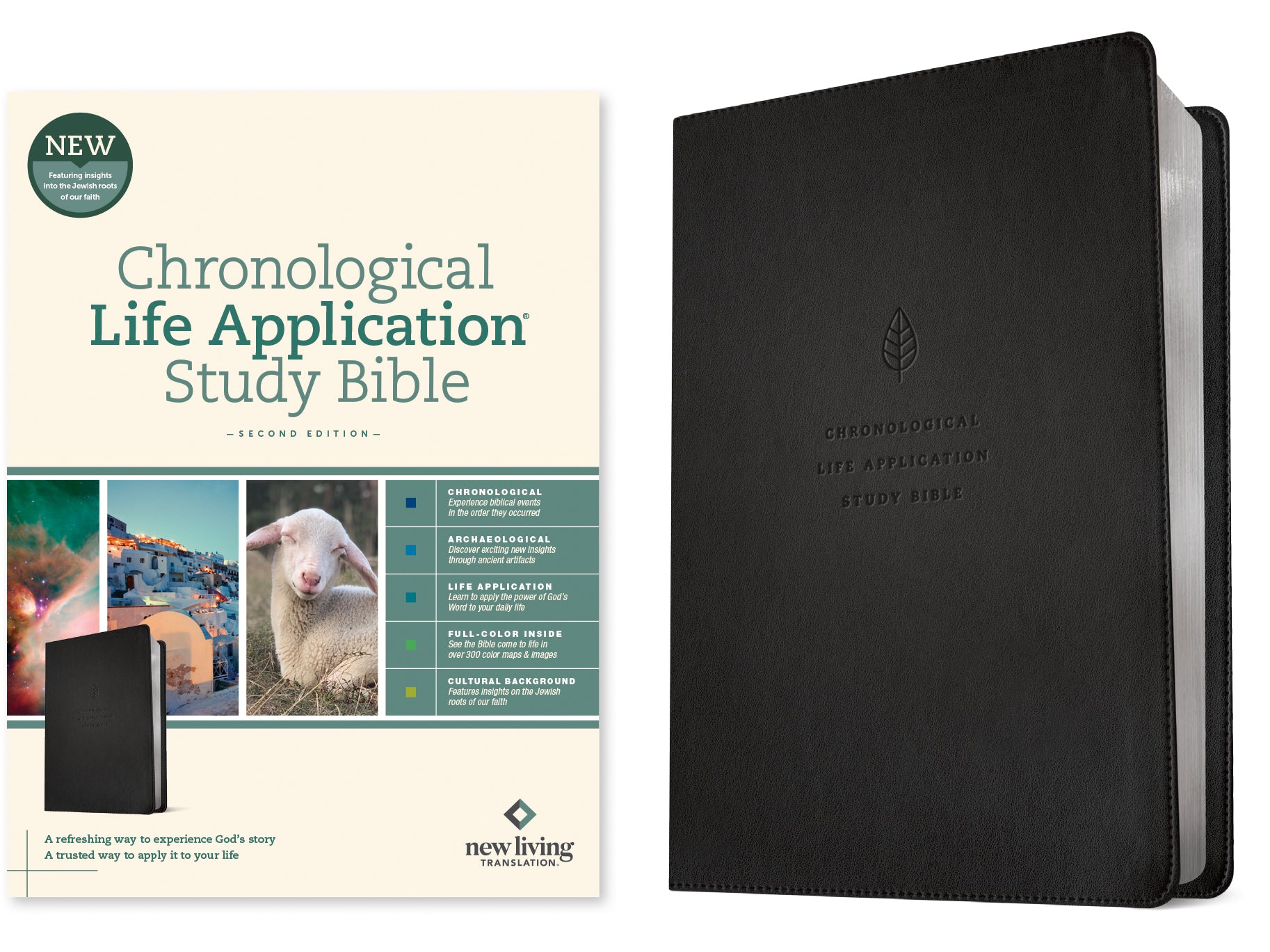 NLT Chronological Life Application Study Bible 2nd Edition Ebony Leaf