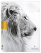 NLT Courage For Life Study Bible For Men Filament-Enabled Edition