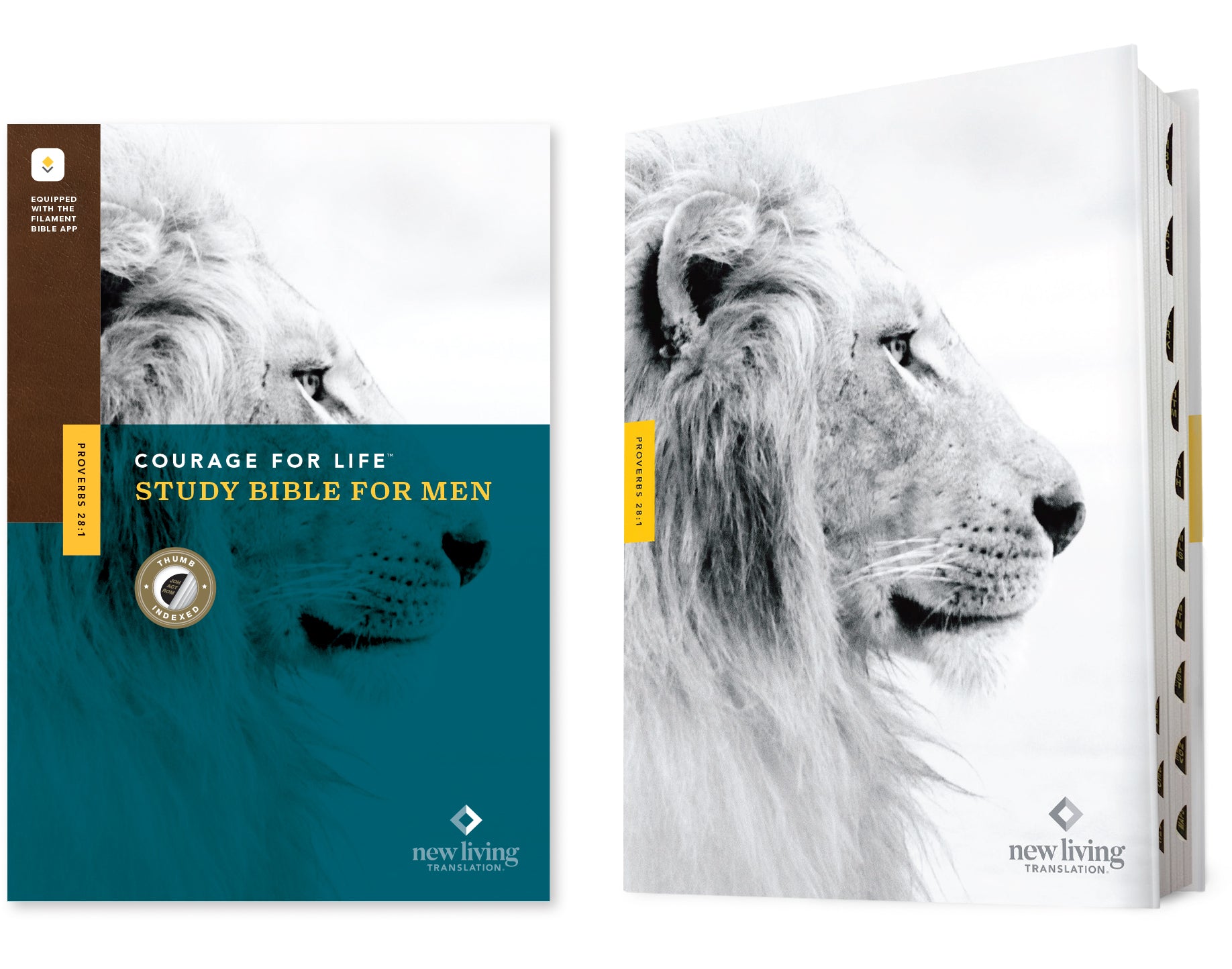 NLT Courage For Life Study Bible For Men Filament-Enabled Edition Indexed