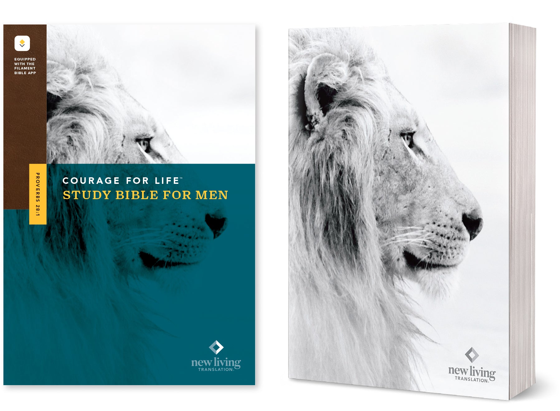 NLT Courage For Life Study Bible For Men Filament-Enabled Edition