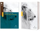 NLT Courage For Life Study Bible For Men Filament-Enabled Edition