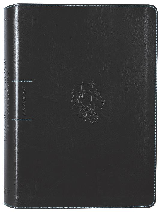 NLT Courage For Life Study Bible For Men Filament-Enabled Edition Onyx Lion