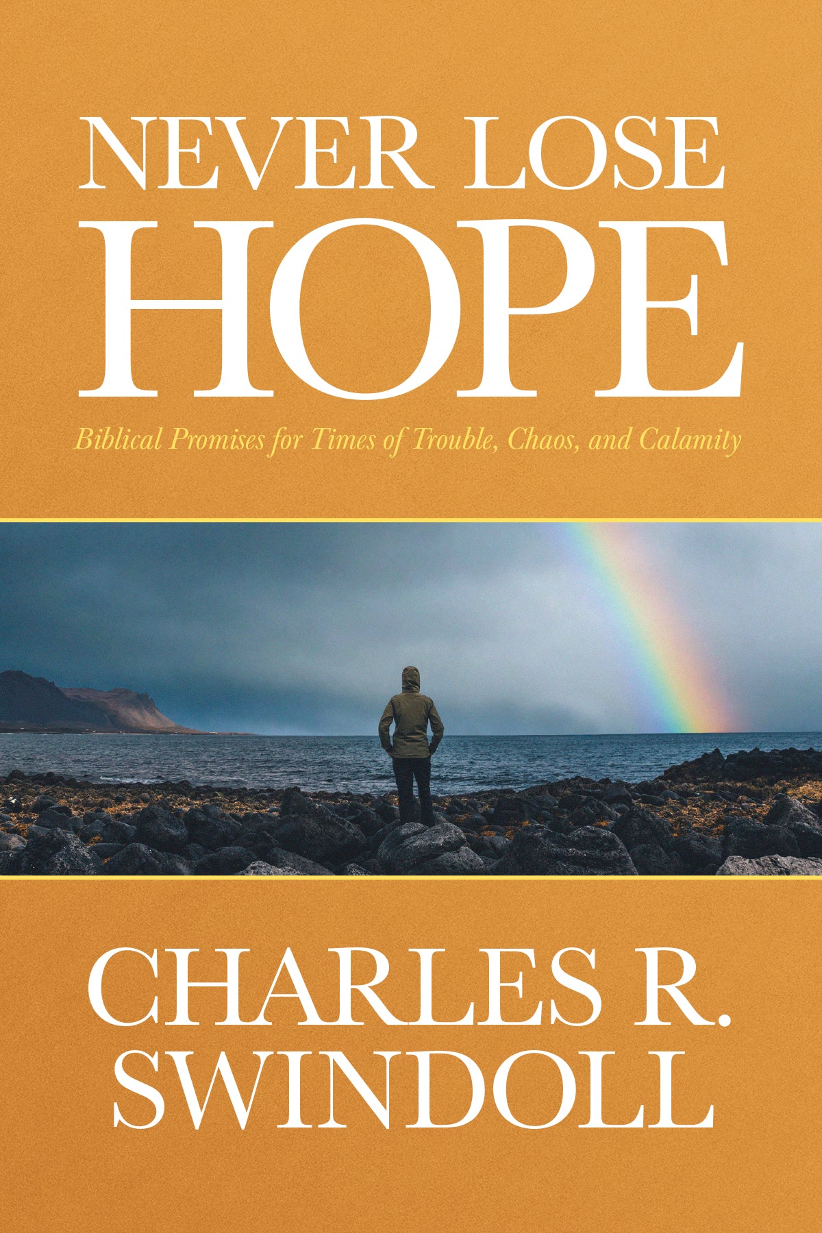 Never Lose Hope: Biblical Promises For Times of Trouble, Chaos, and Calamity