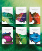 NLT Immerse Bible Complete Set: Beginnings, Kingdoms, Prophets, Poets, Chronicles, Messiah (6 Book Set)