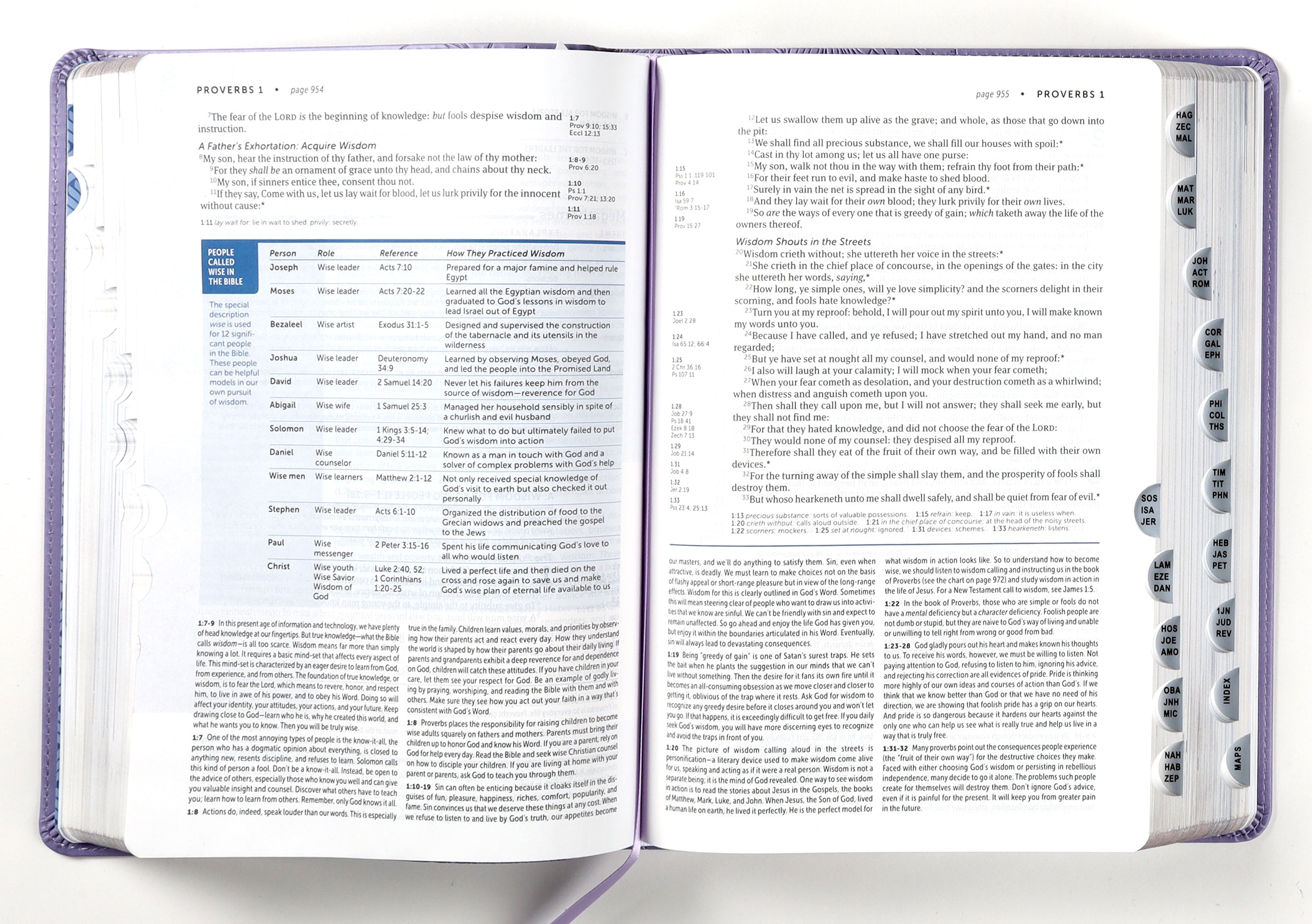 KJV Life Application Study Bible Peony Lavender Indexed (Red Letter Edition) (3rd Edition)