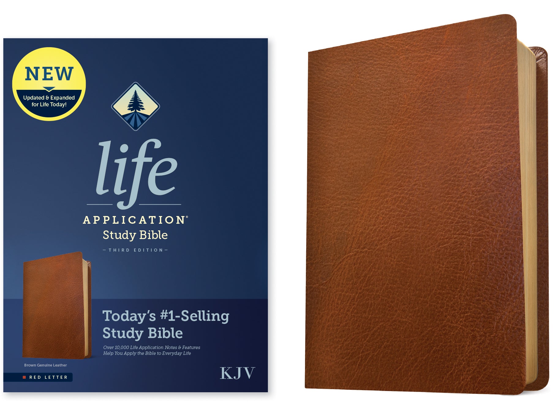 KJV Life Application Study Bible Brown (Red Letter Edition) (3rd Edition)