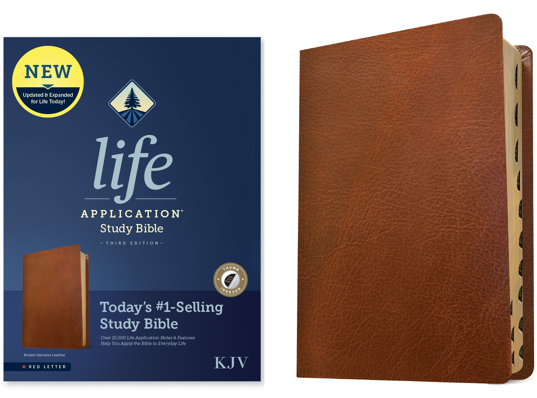 KJV Life Application Study Bible Brown Indexed (Red Letter Edition) (3rd Edition)