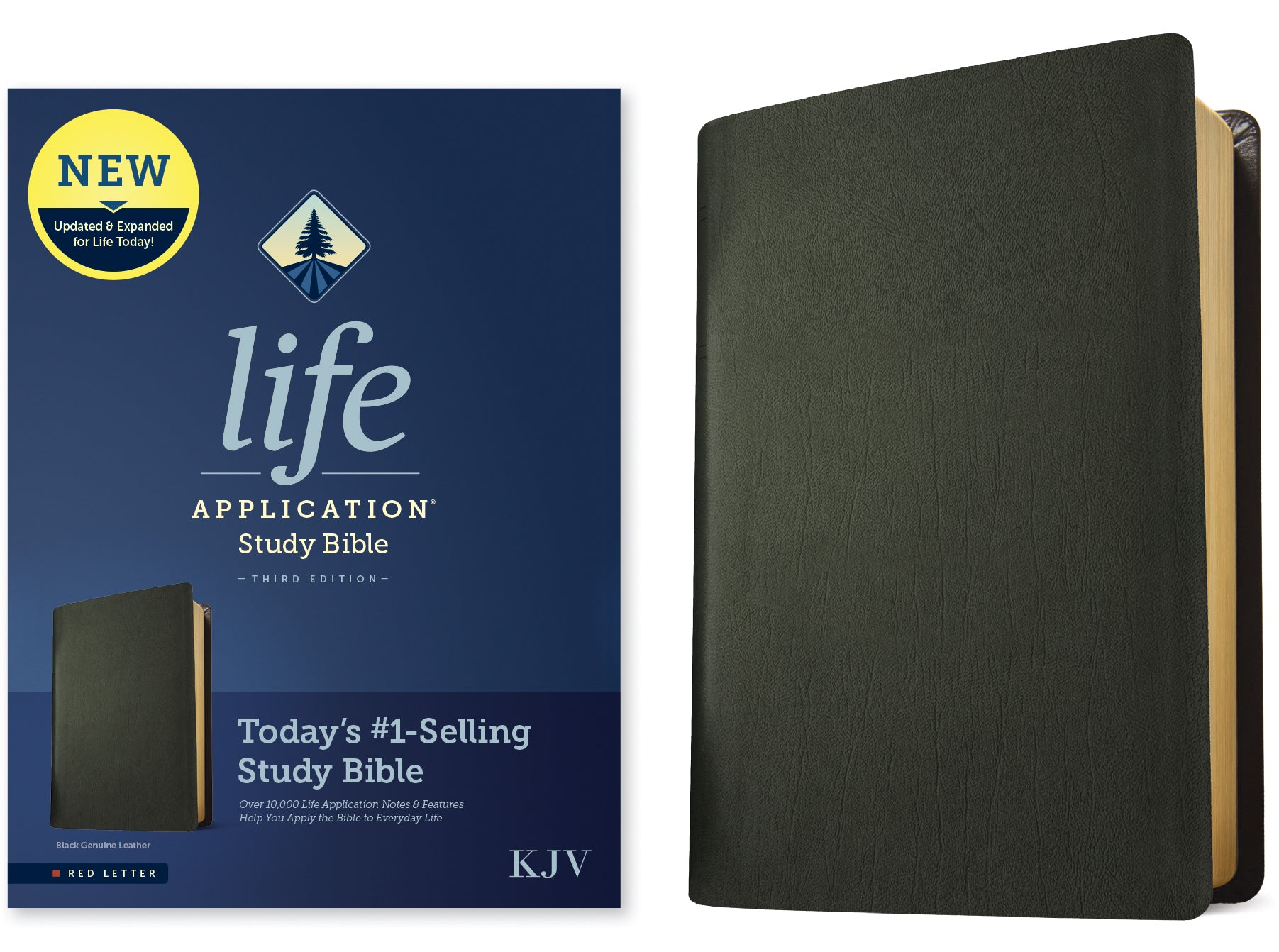 KJV Life Application Study Bible Black (Red Letter Edition) (3rd Edition)