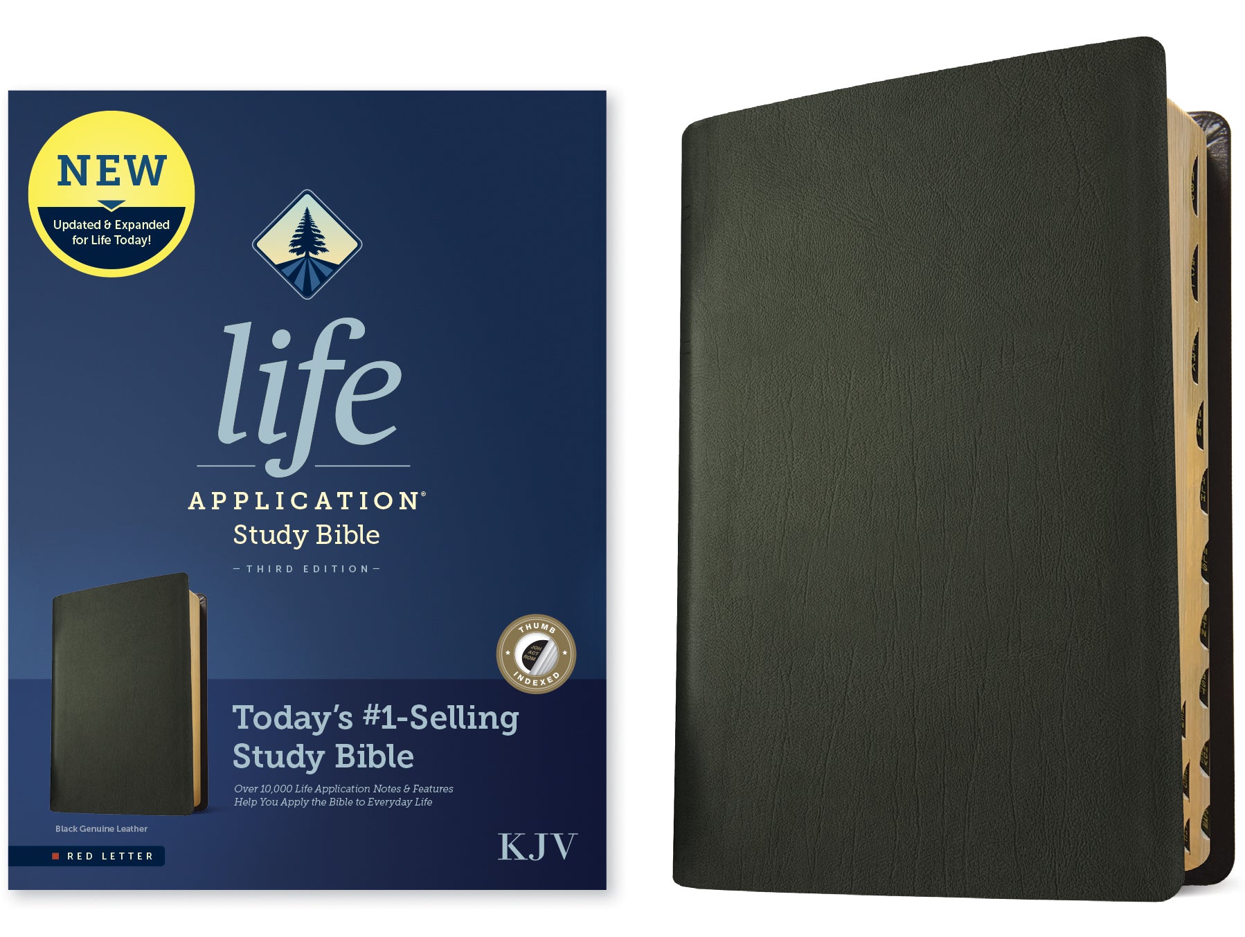 KJV Life Application Study Bible Black Indexed (Red Letter Edition) (3rd Edition)