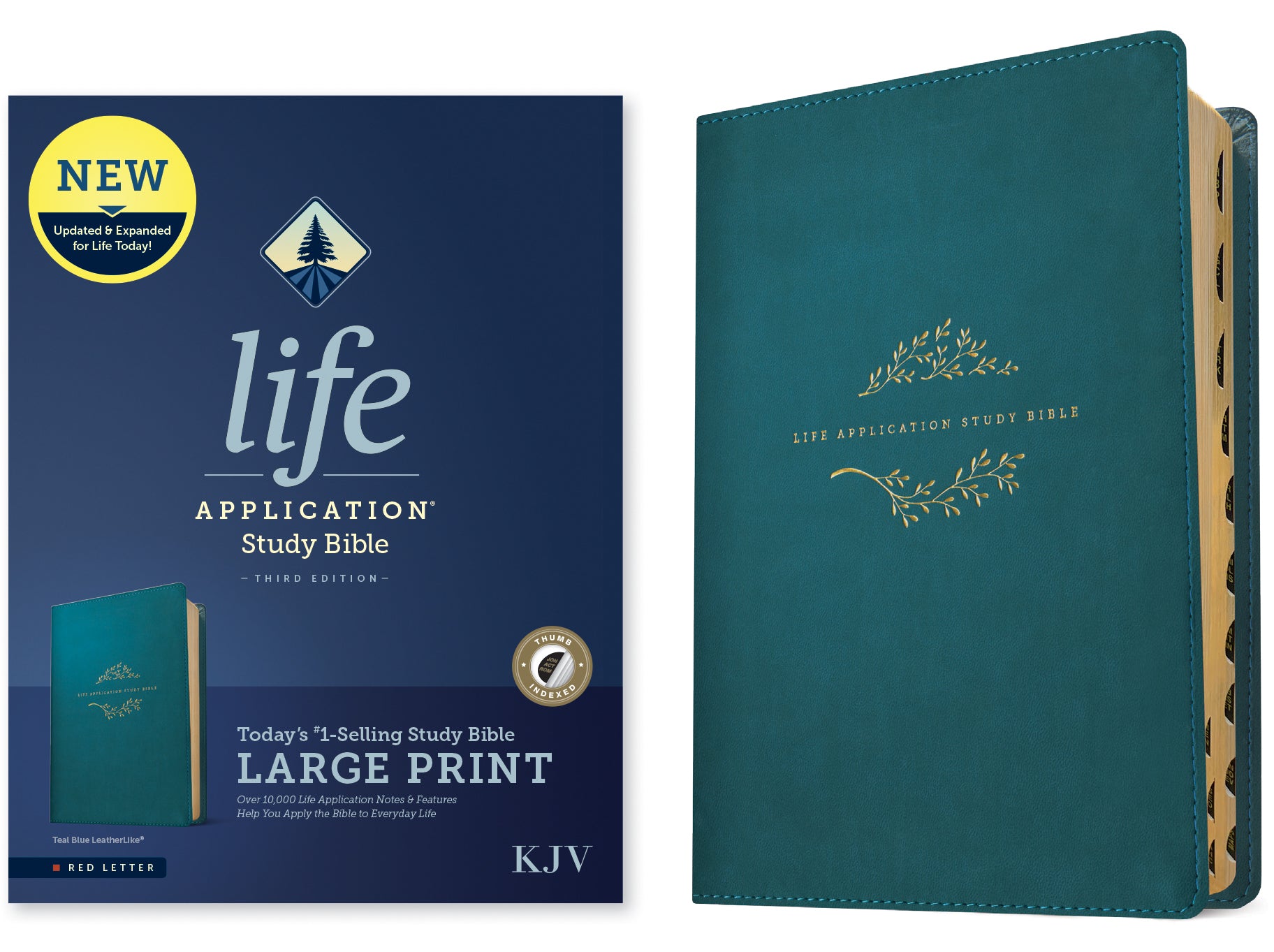 KJV Life Application Study Bible Large Print Teal Blue Indexed (Red Letter Edition) (3rd Edition)