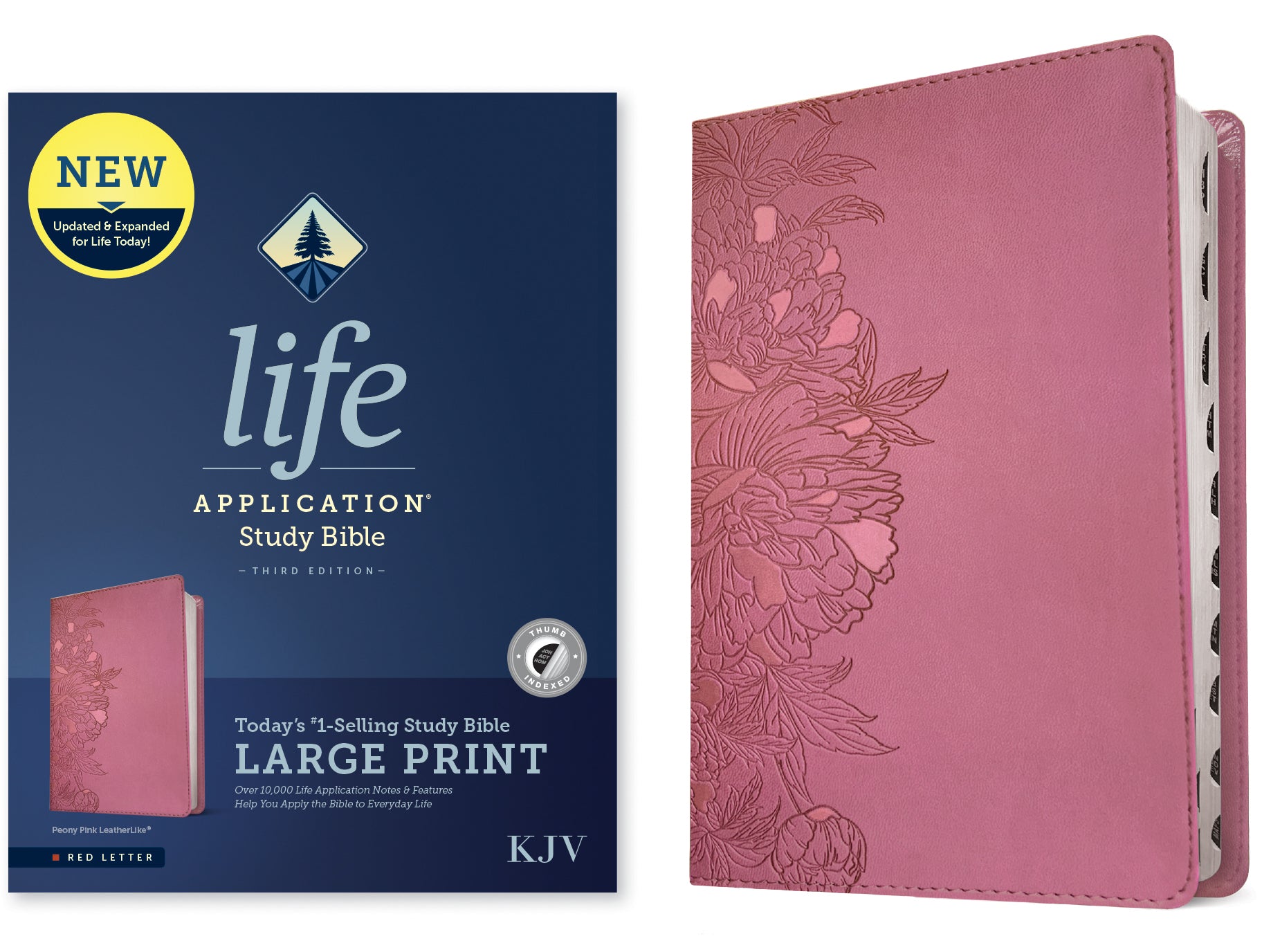 KJV Life Application Study Bible Large Print Peony Pink Indexed (Red Letter Edition) (3rd Edition)