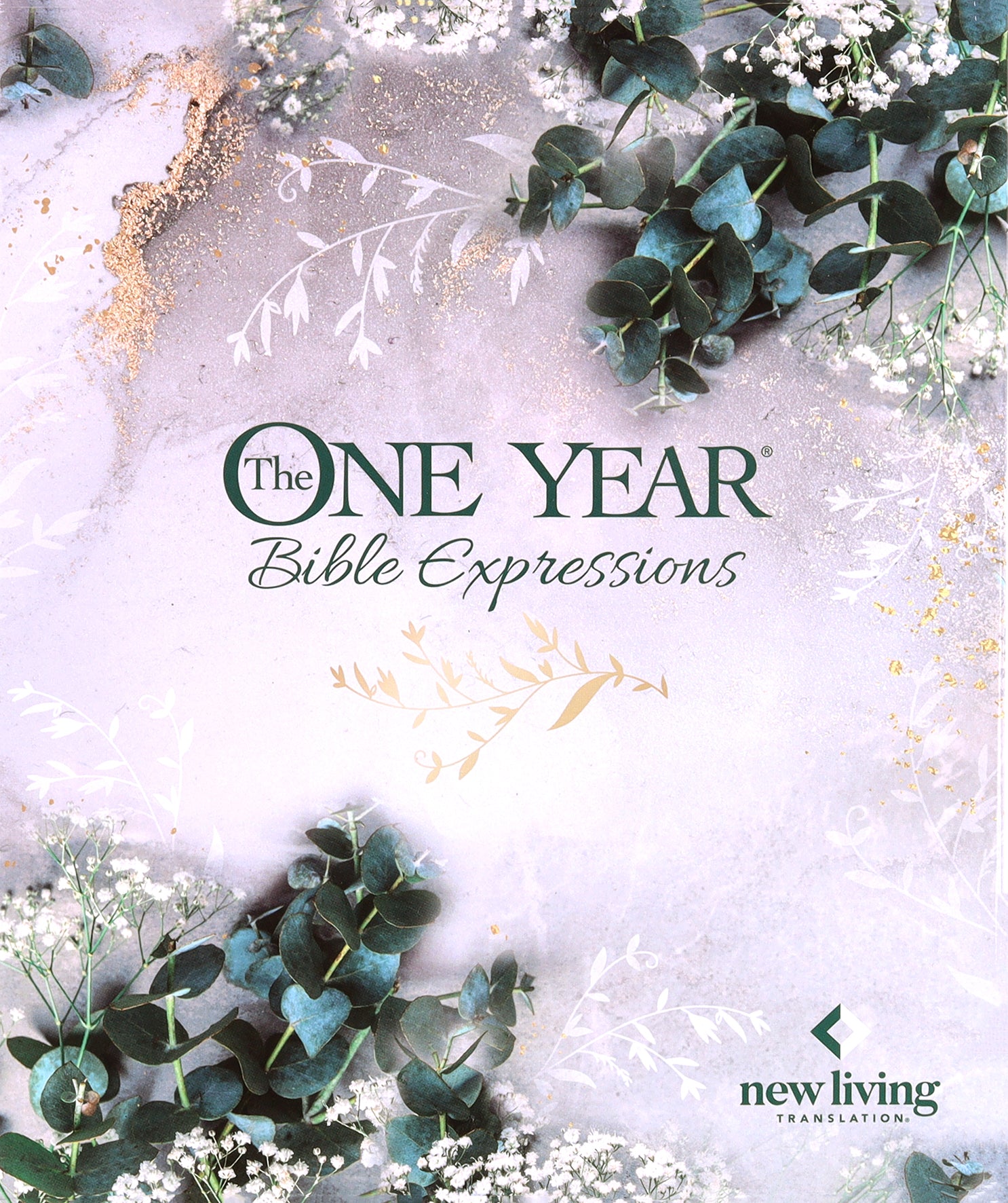 NLT One Year Bible Expressions Tidewater Teal