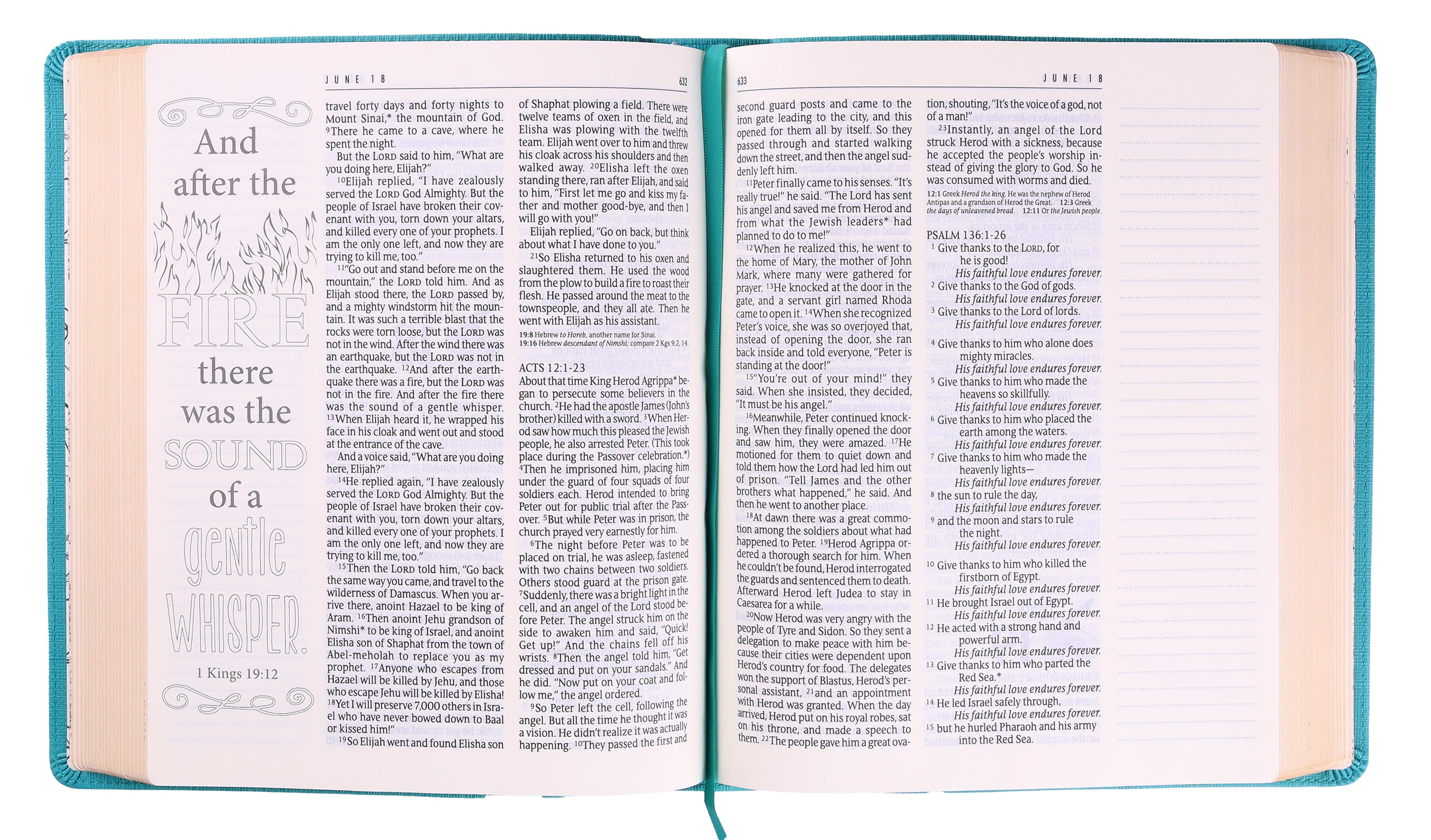 NLT One Year Bible Expressions Tidewater Teal