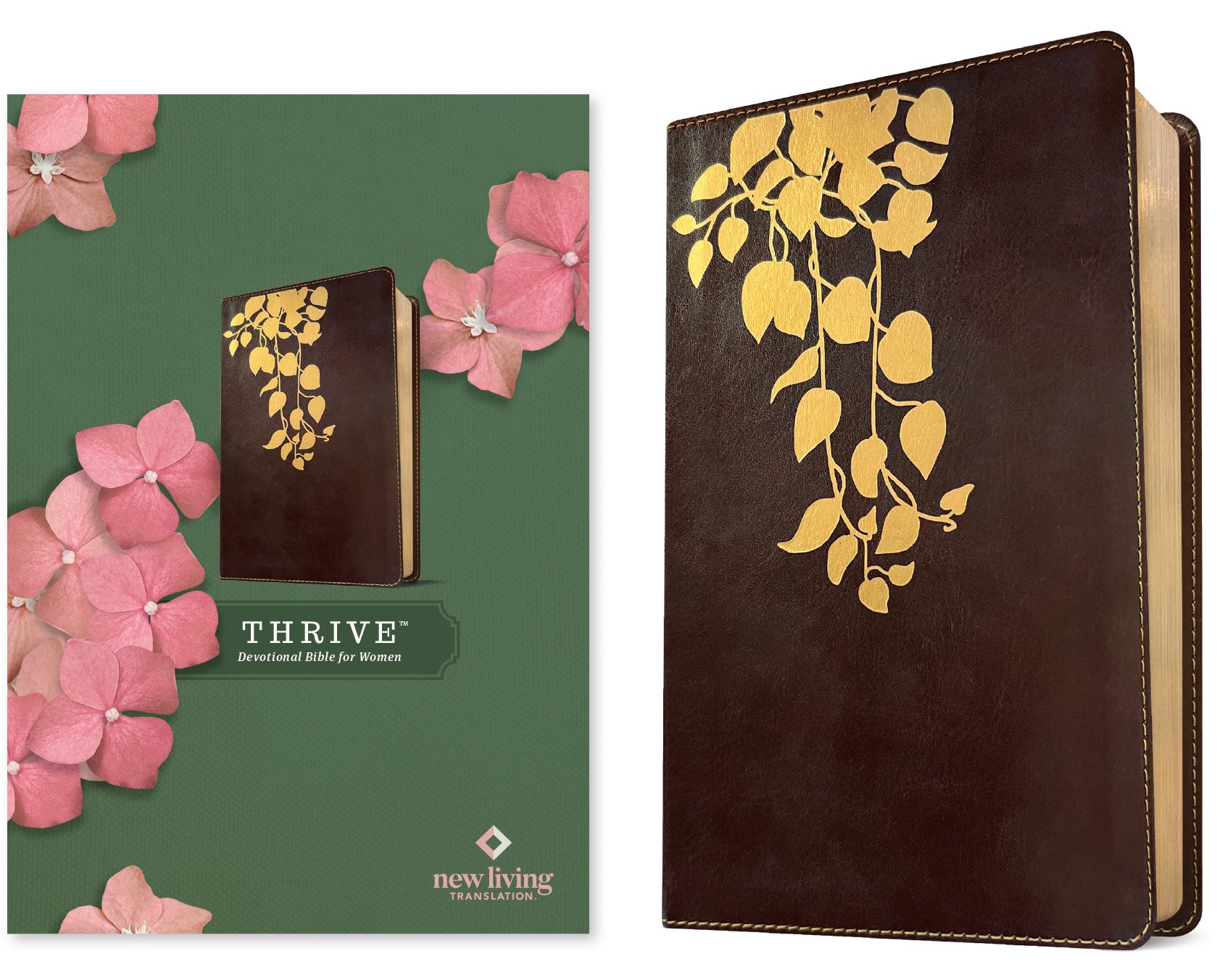 NLT Thrive Devotional Bible For Women Cascade Deep Brown